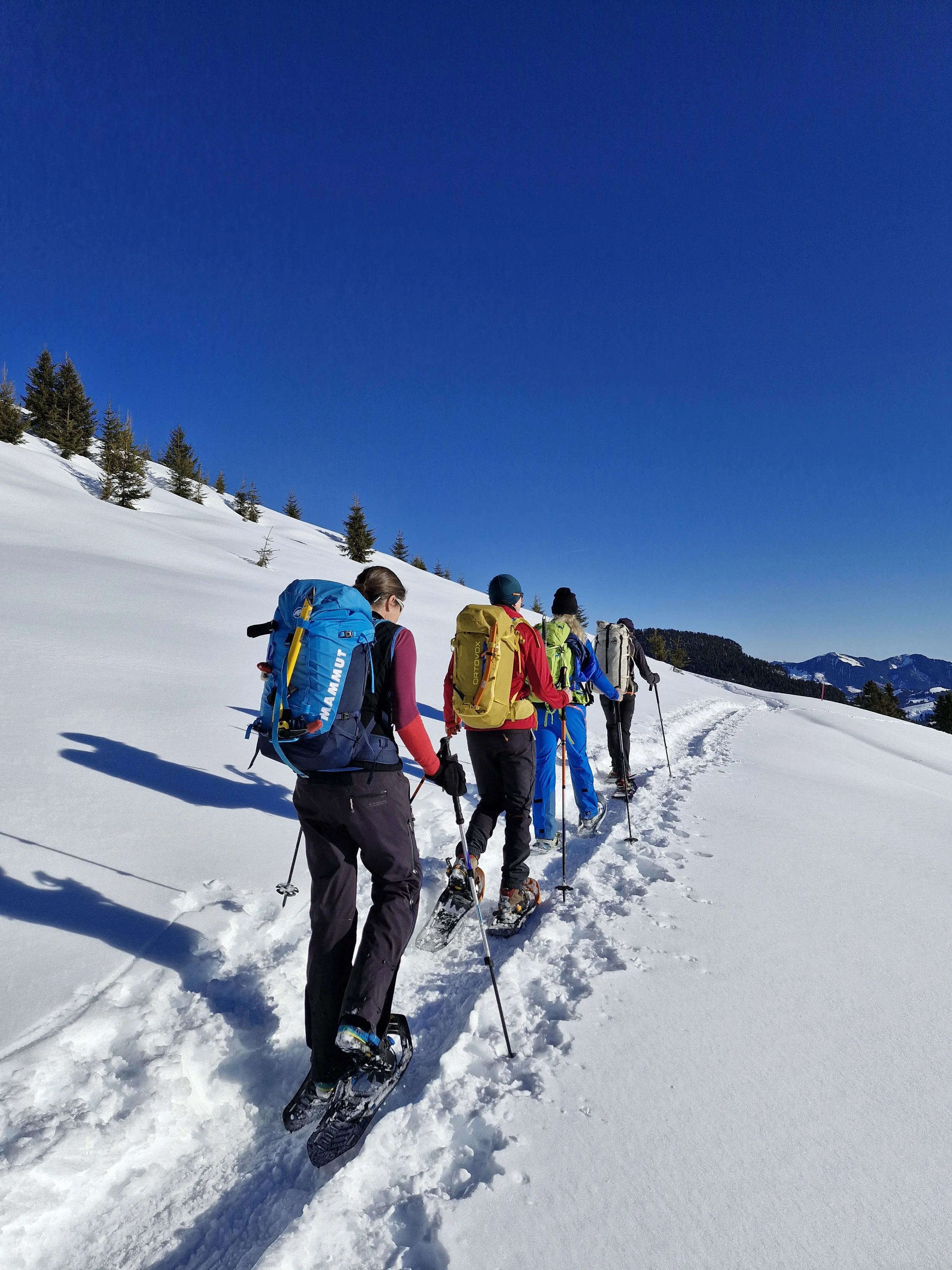 schneeschuhtage-habkern-wildtrektours-3.jpg