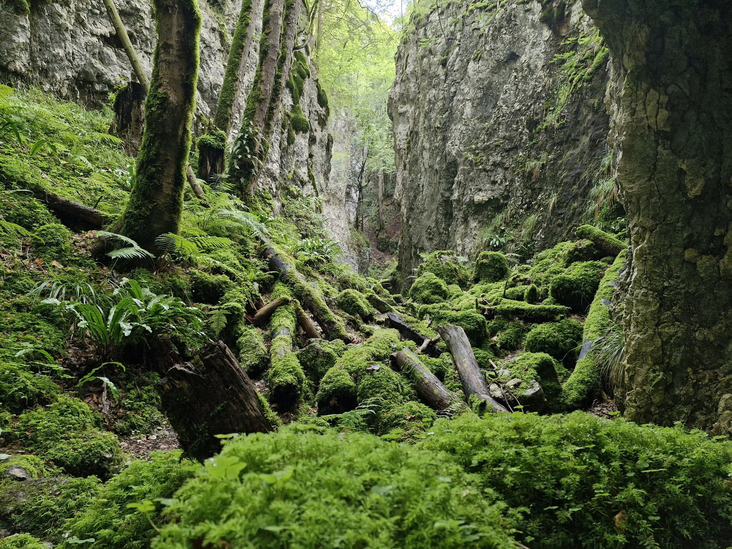 naturpark-thal-wildtrektours-2.jpg