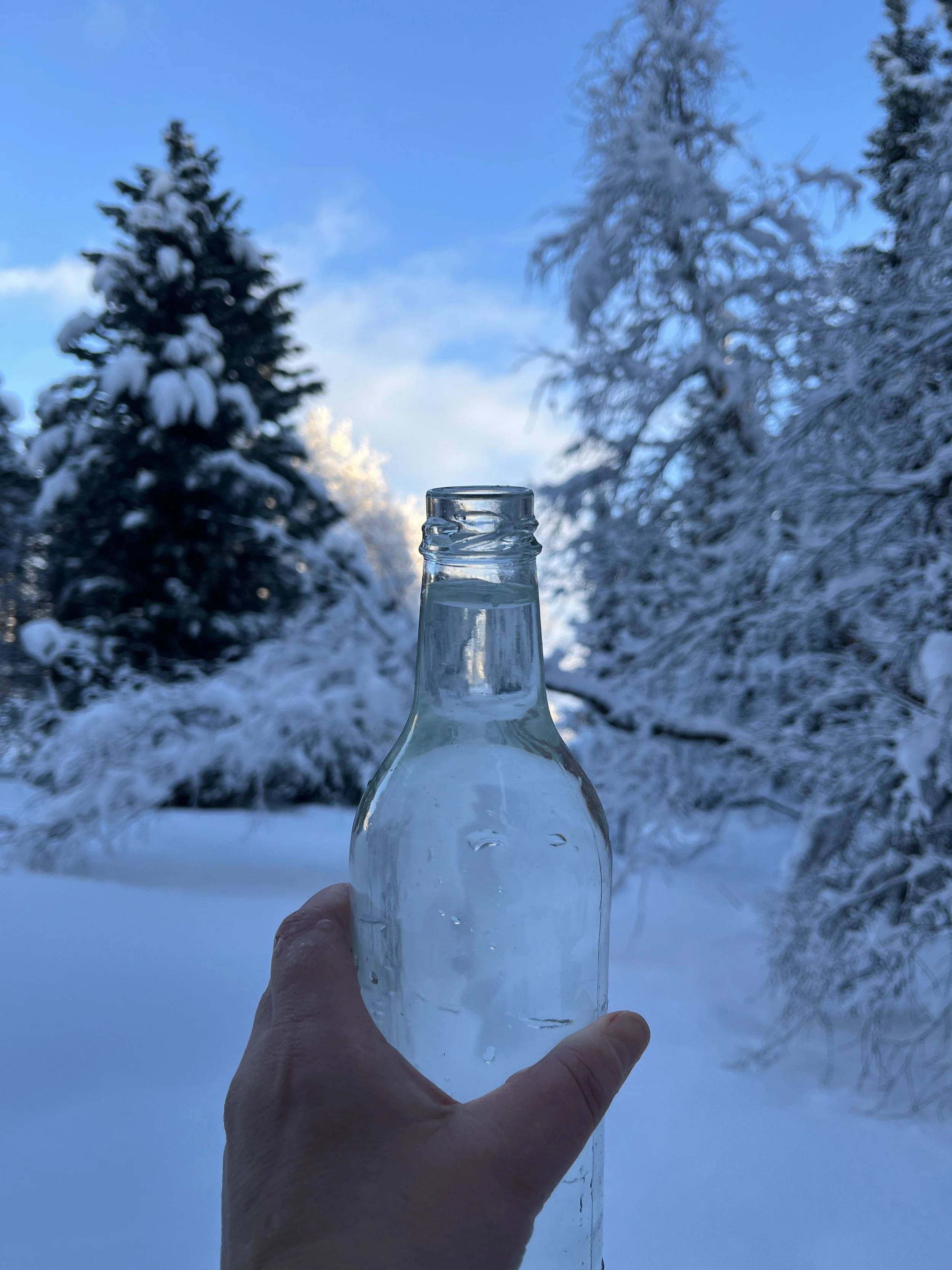 Vitundin í Vatninu / Ask The Water  -  Bryndís Fjóla