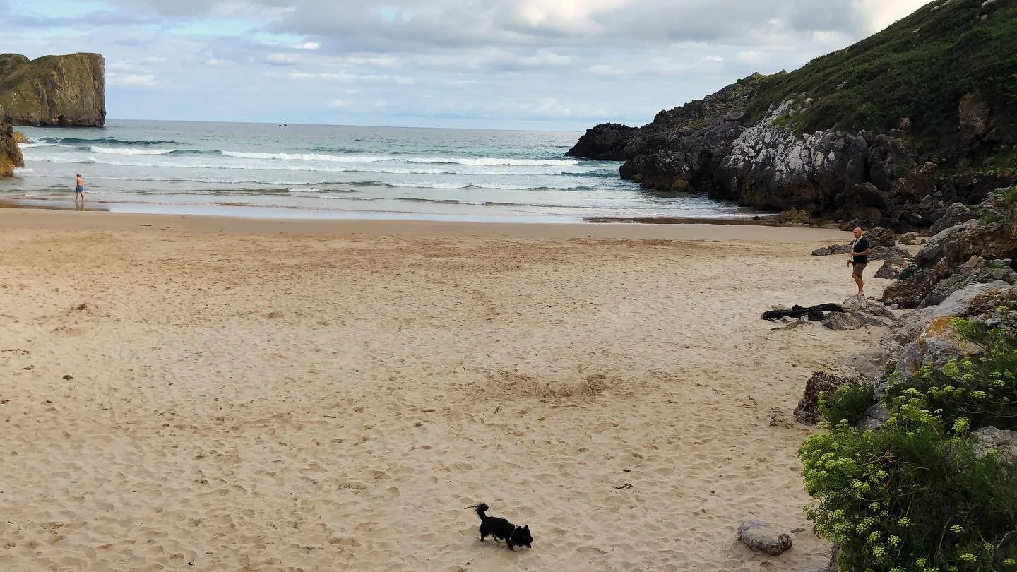 En alem&aacute;n se dice: El p&aacute;jaro temprano atrapa el gusano. Aqu&iacute; en #asturias ser&aacute;n las playas. 😎🤩🤗 #asturiaspara&iacute;sonatural #llanestodoela&ntilde;o #playasenelnorte