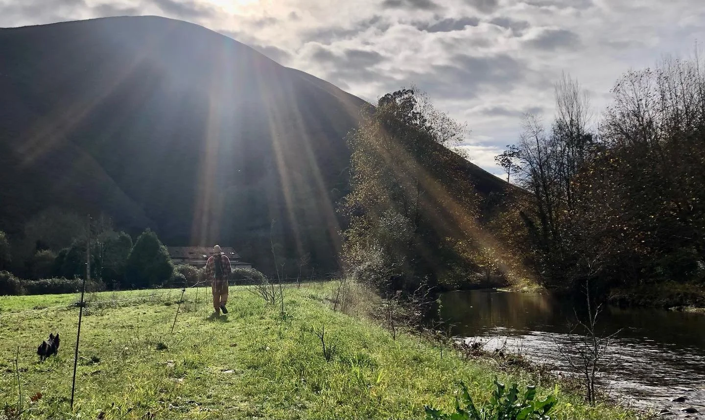 Despu&eacute;s un buen camino una buena comida @barelfresnu