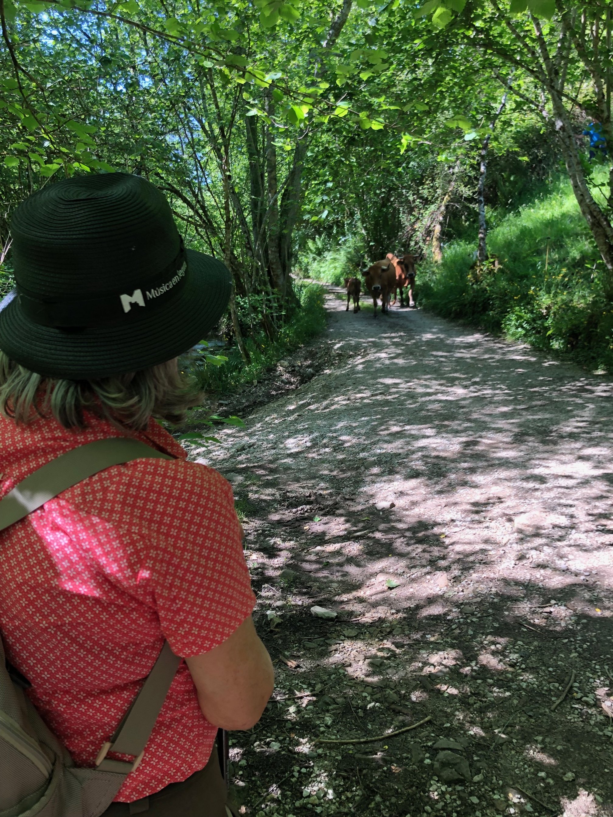 Beautiful walk right from Casa Mariquina