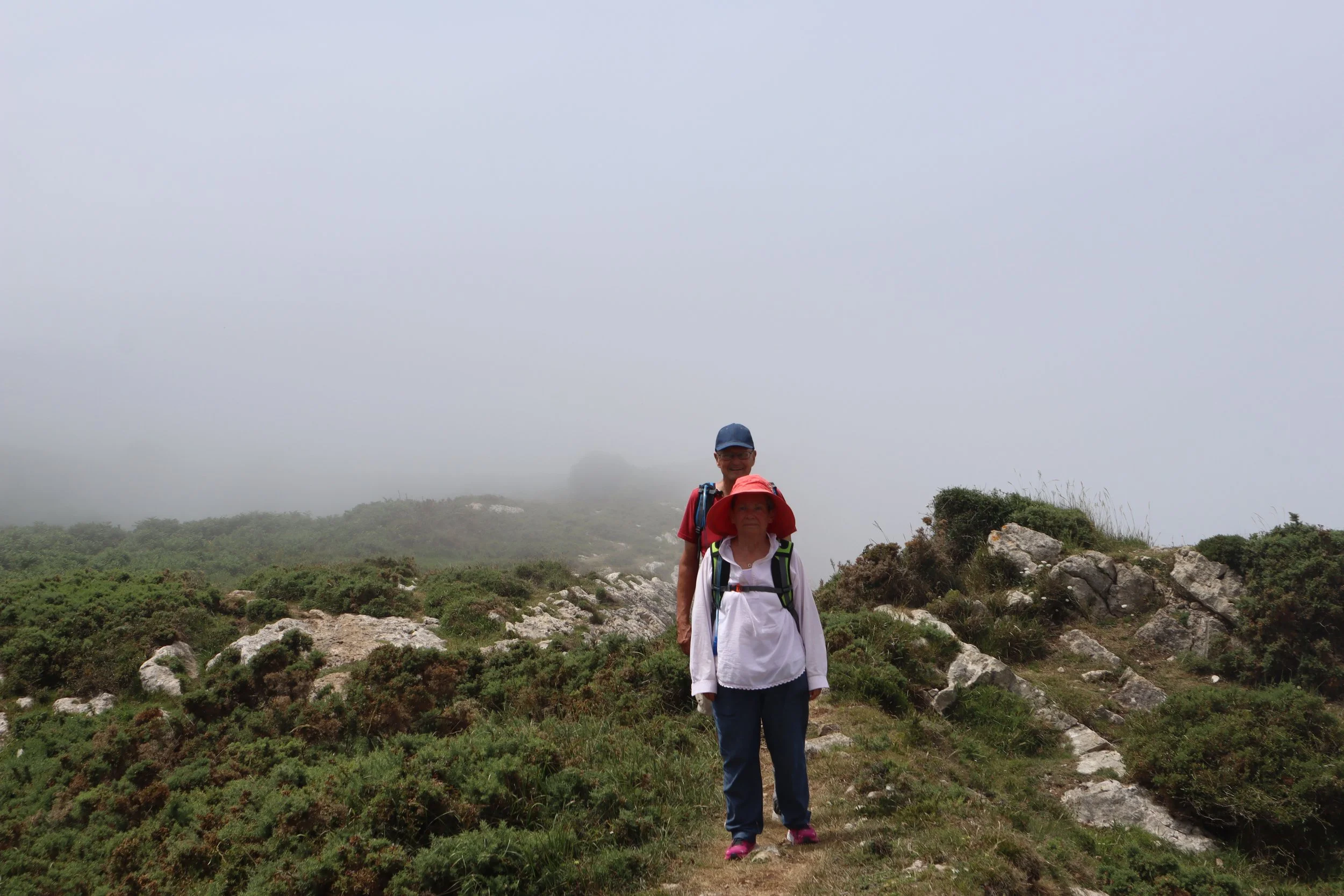 Camino - 1 of 1 (1).jpeg