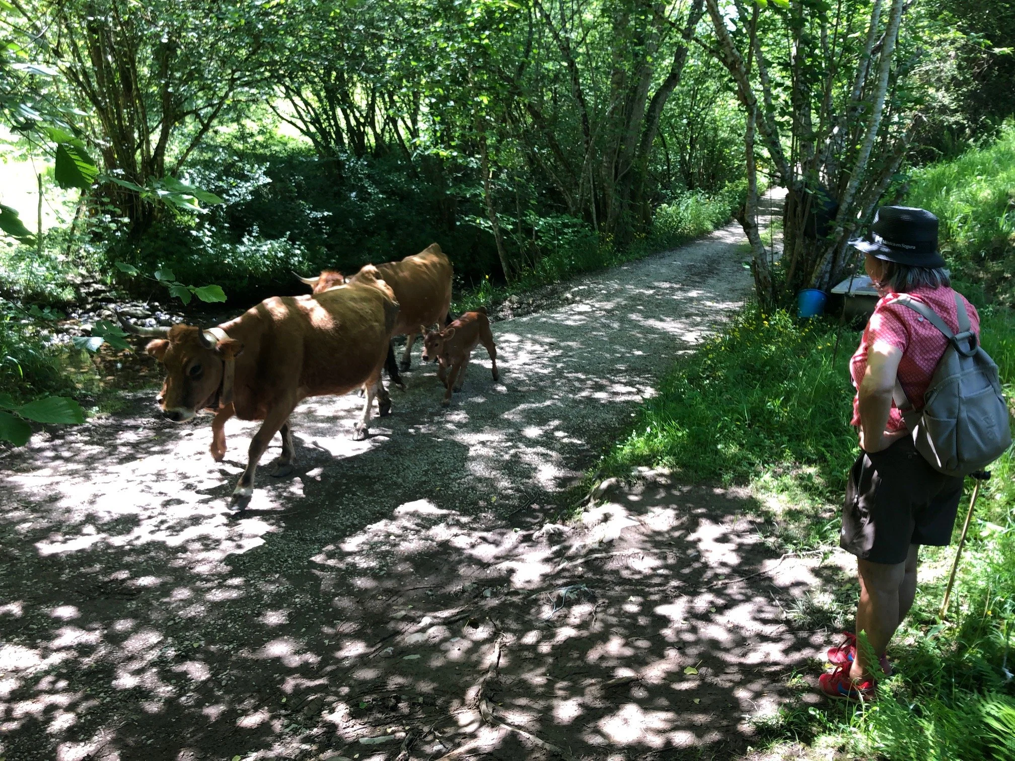 Beautiful walk right from Casa Mariquina