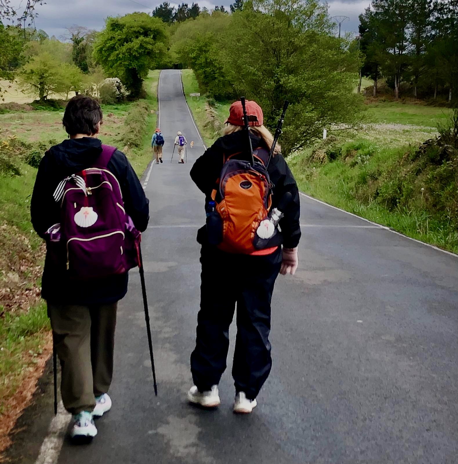 Camino2026 - 1 of 1 (1).jpeg