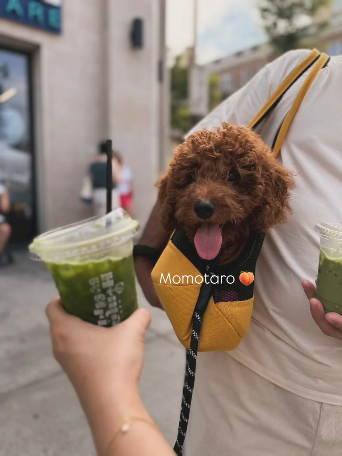 Thank you for making our July Japanese Festival so special! 🇯🇵✨
We&rsquo;re beyond happy to see you all enjoying our drinks 🌻 every cup is made with love and passion 💛
We truly couldn&rsquo;t have done it without you 🫶
We&rsquo;ve loved seeing y