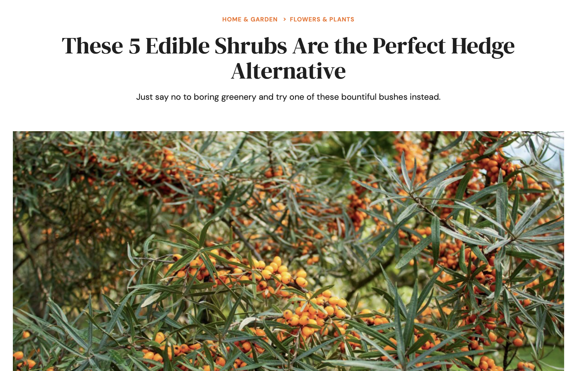 Screenshot 2024-10-03 at 01.03.27.png