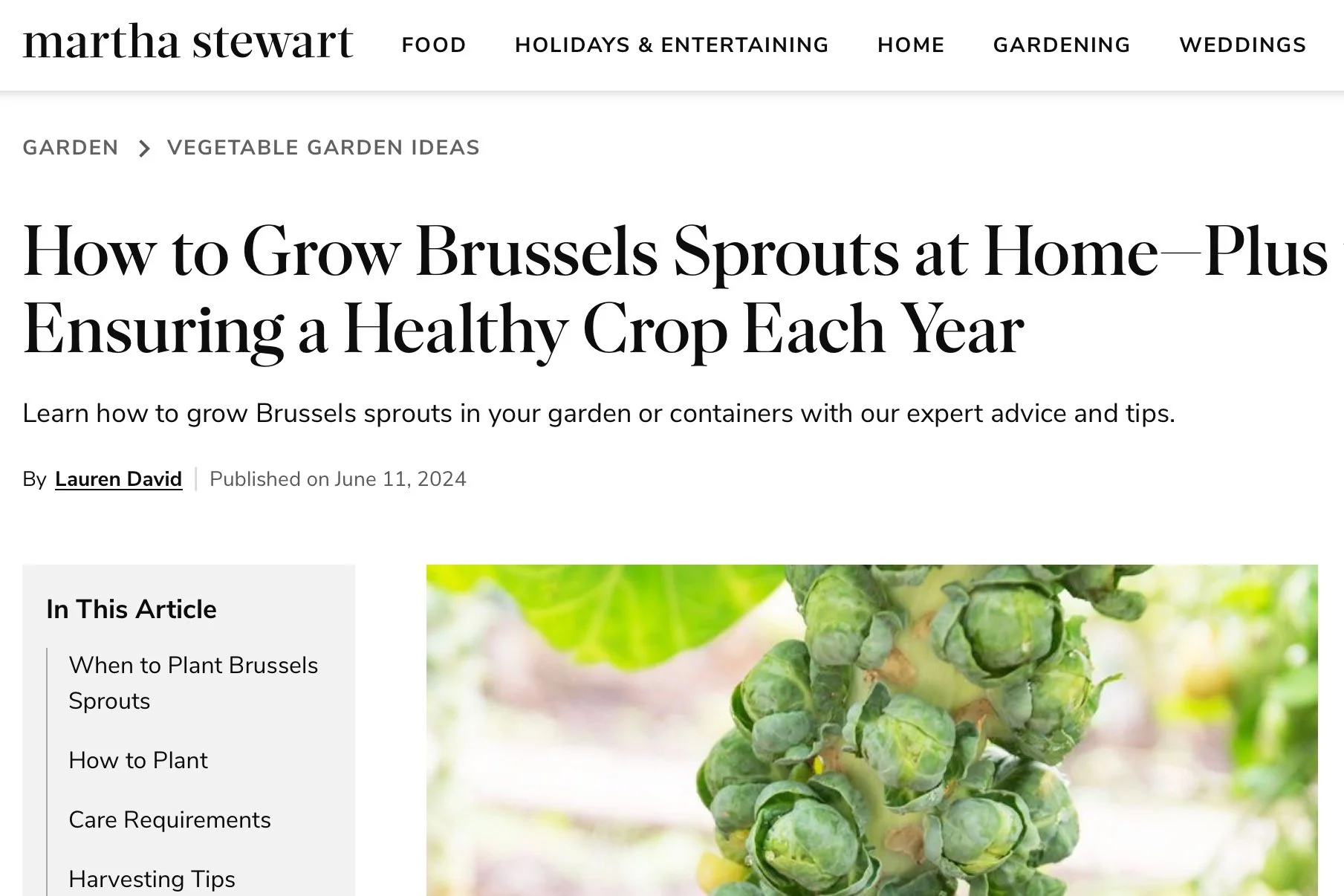 Screenshot 2024-10-03 at 01.07.32.jpg