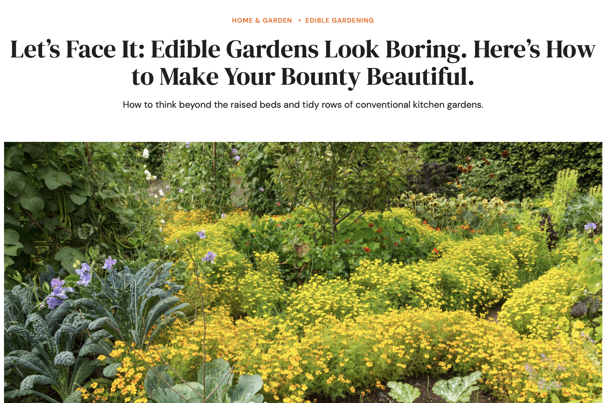 Screenshot 2024-10-03 at 01.05.13.png