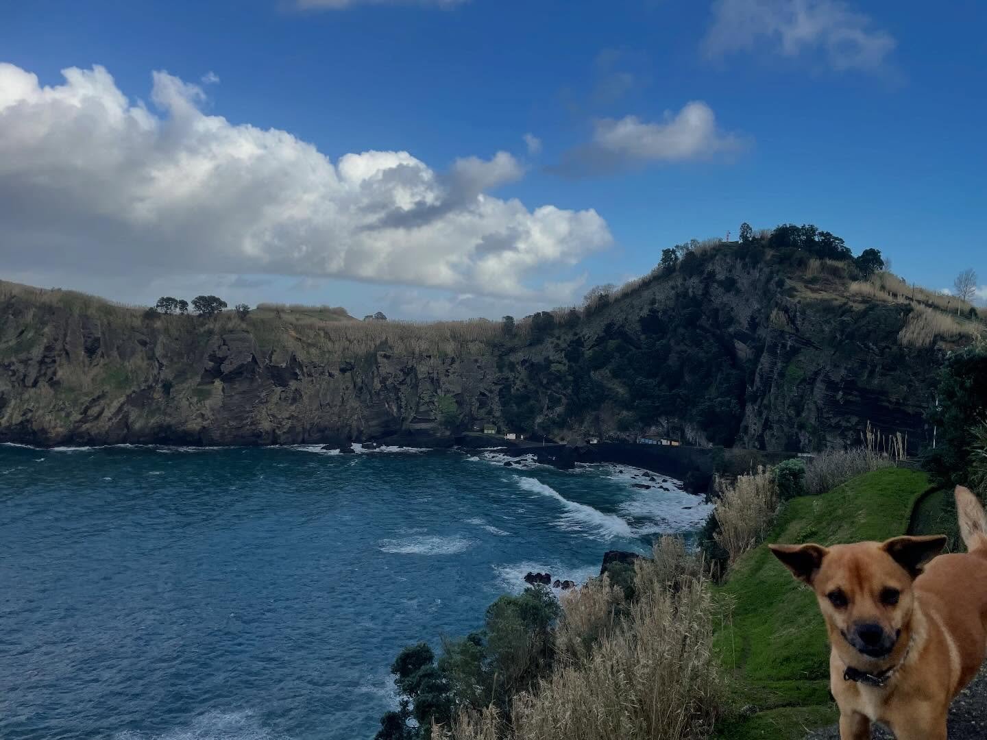 The Capelas Cliff Walk is only a 20 minute journey from Vila Pilar - unfortunately the cute neighborhood pup may or may not be included in your walk!