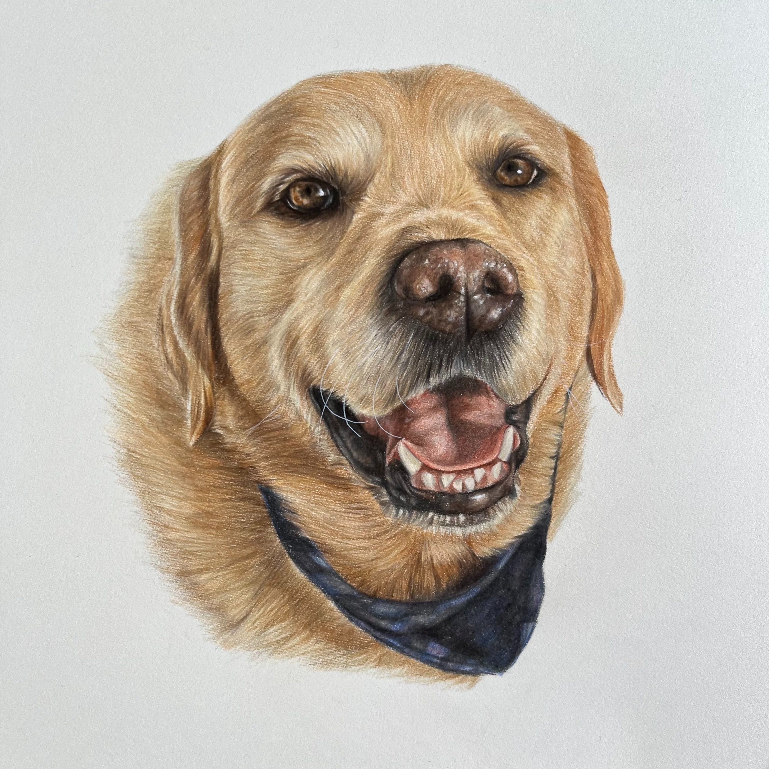 AJ+portrait.jpg