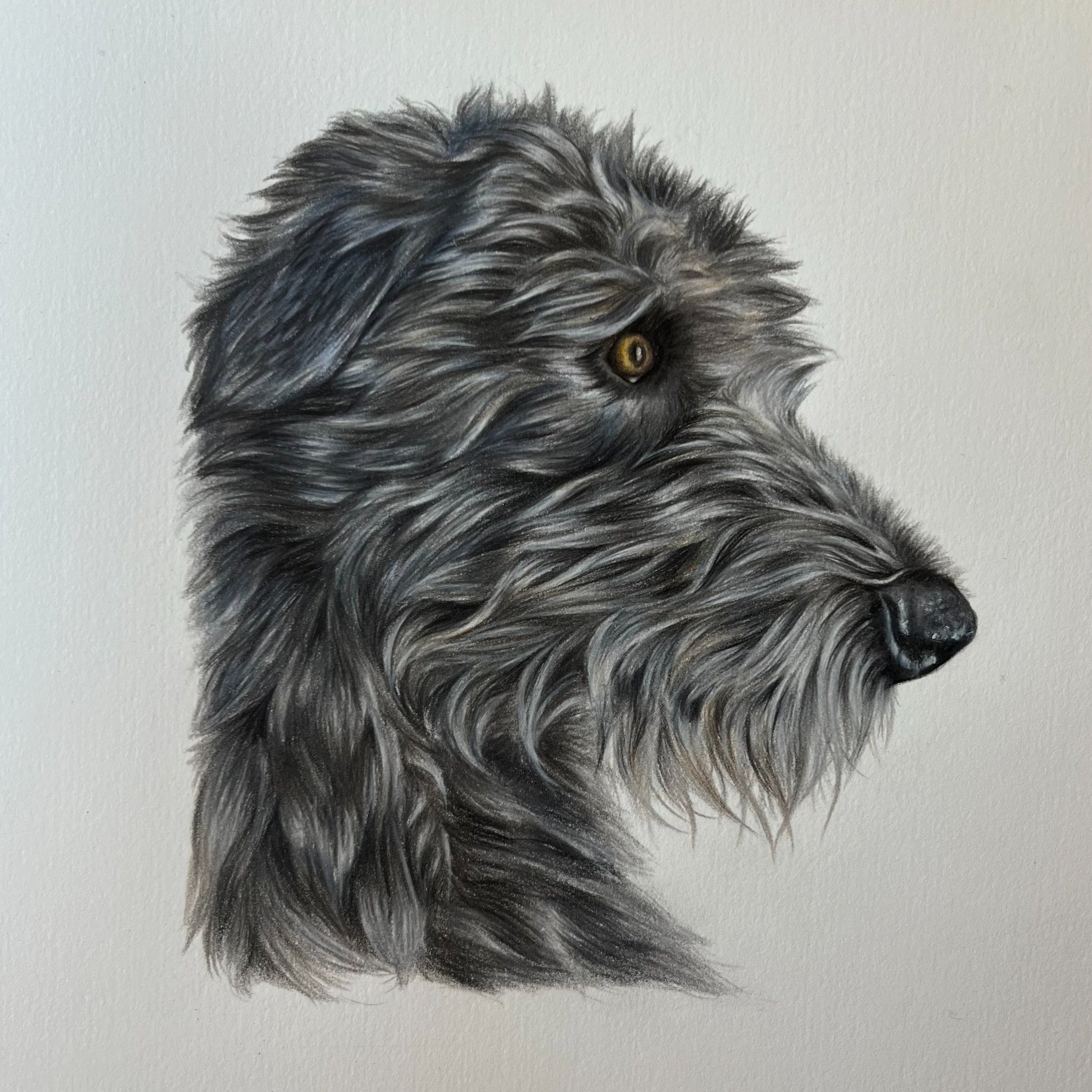 wolfhound.jpg