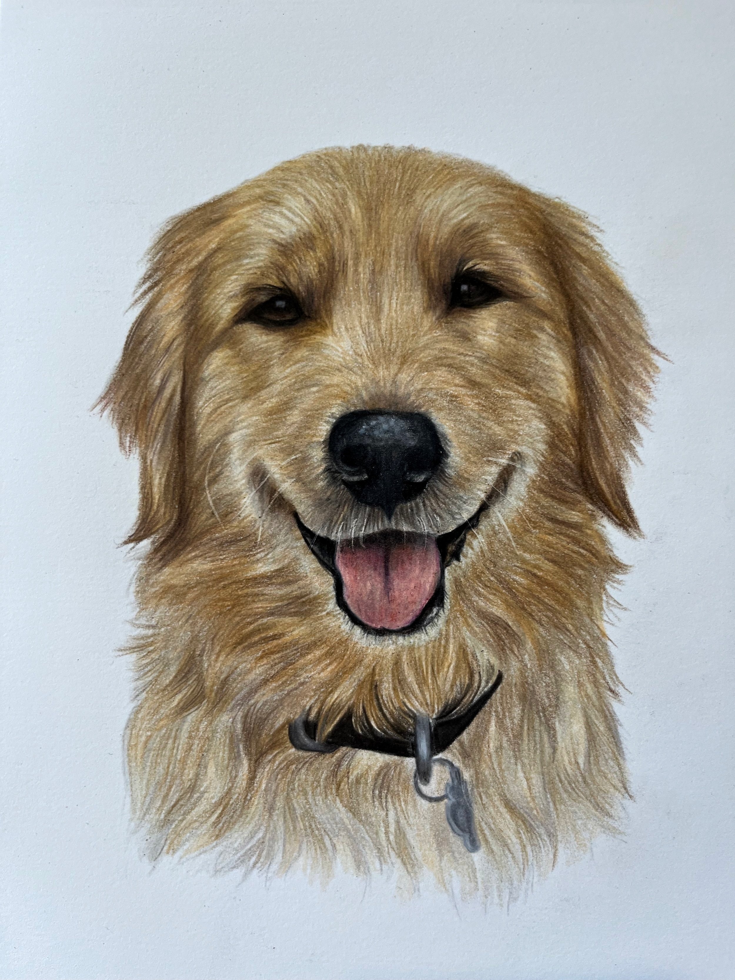 a5+retriever.jpg