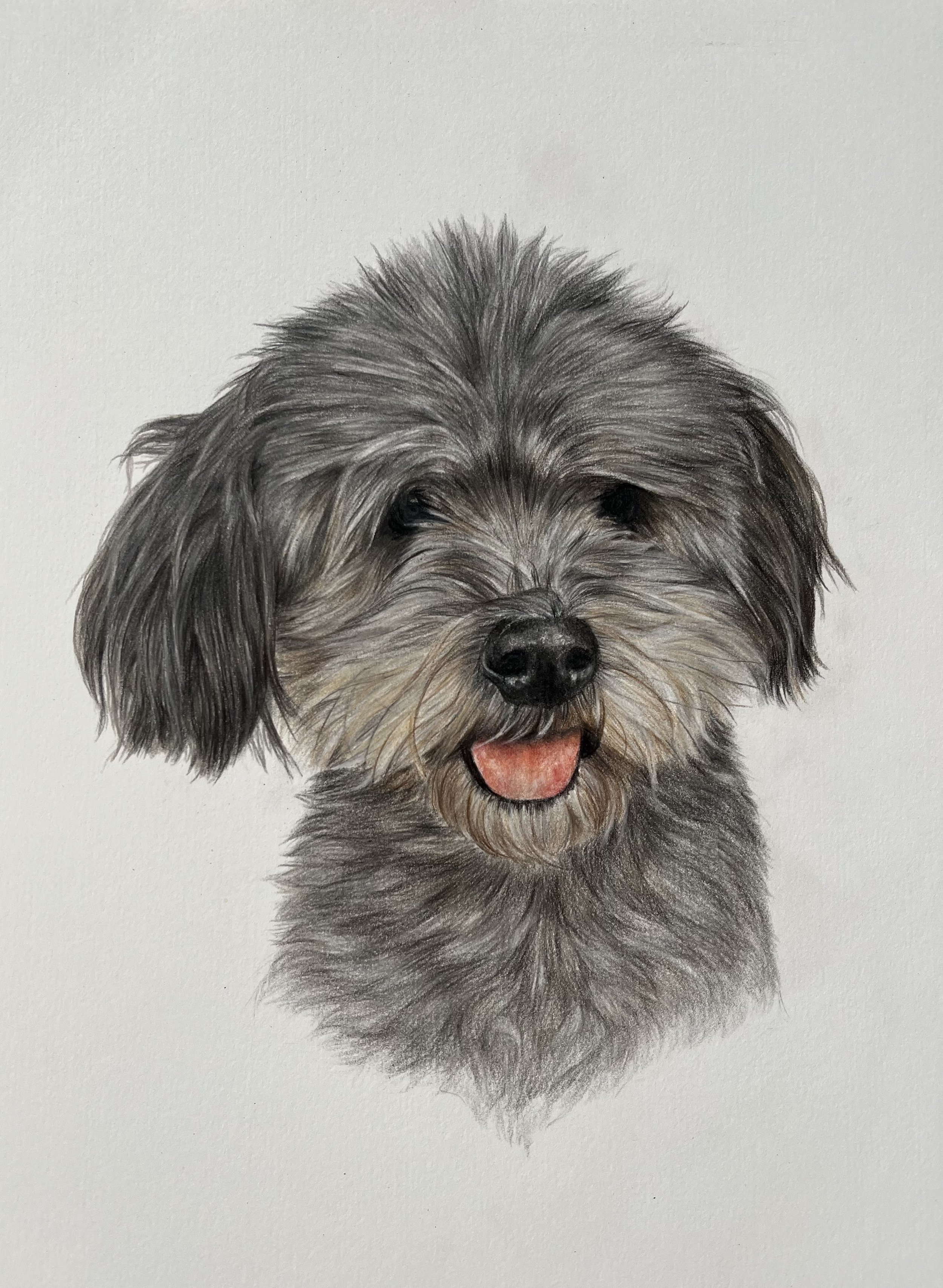 Libby final pic.jpg