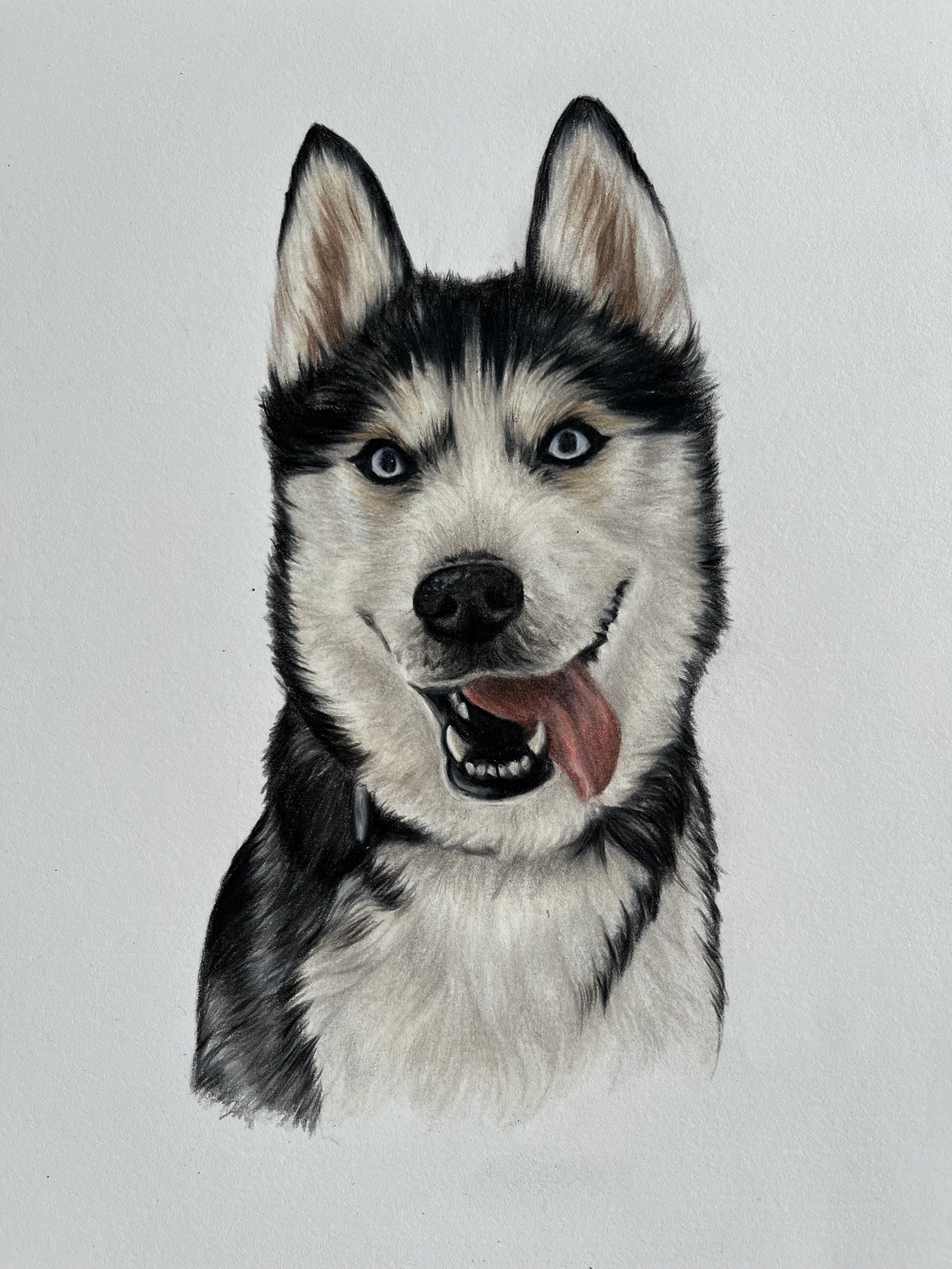 HUSKY PIC .jpg