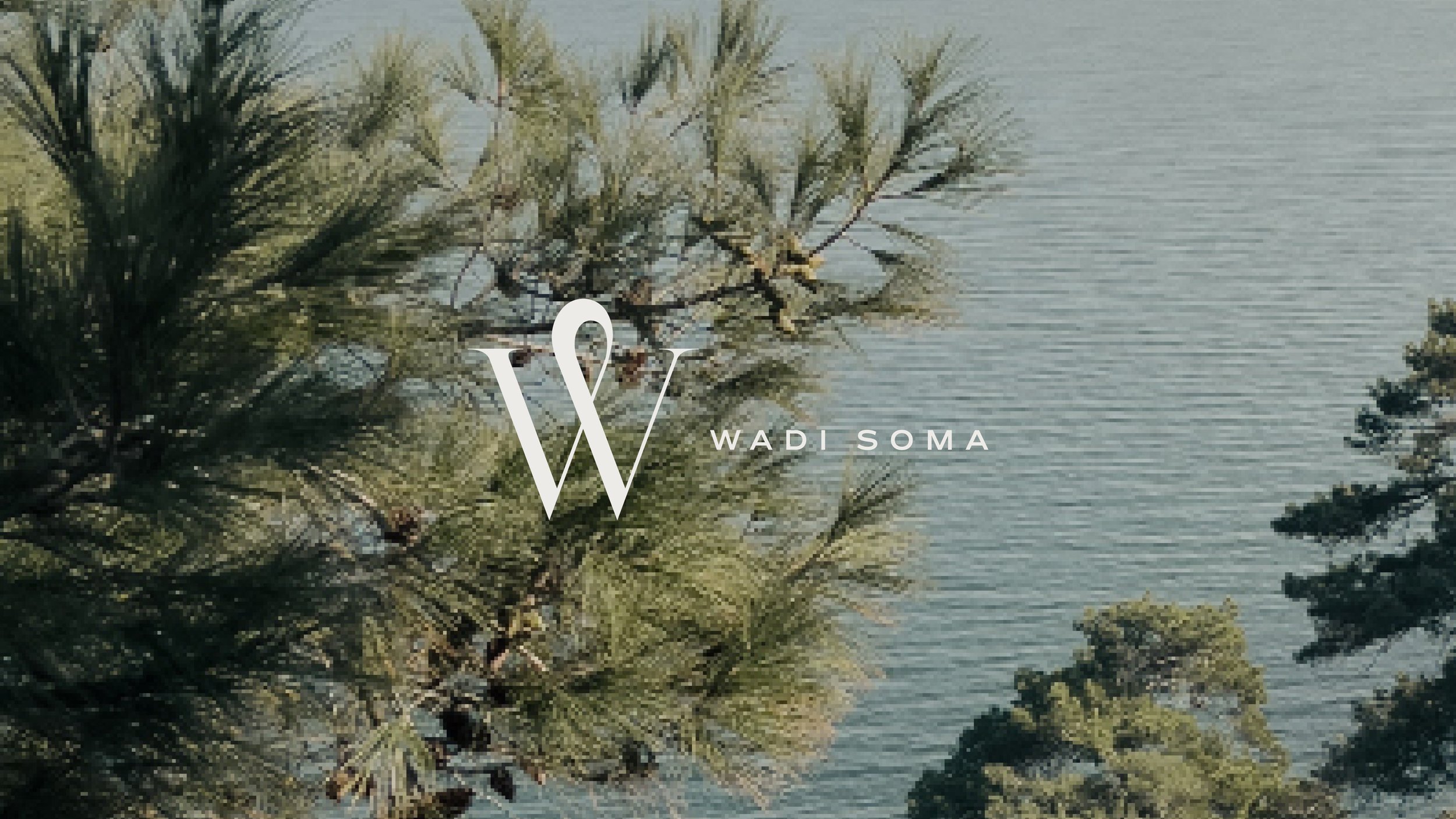 wadisoma_branding 7.jpg