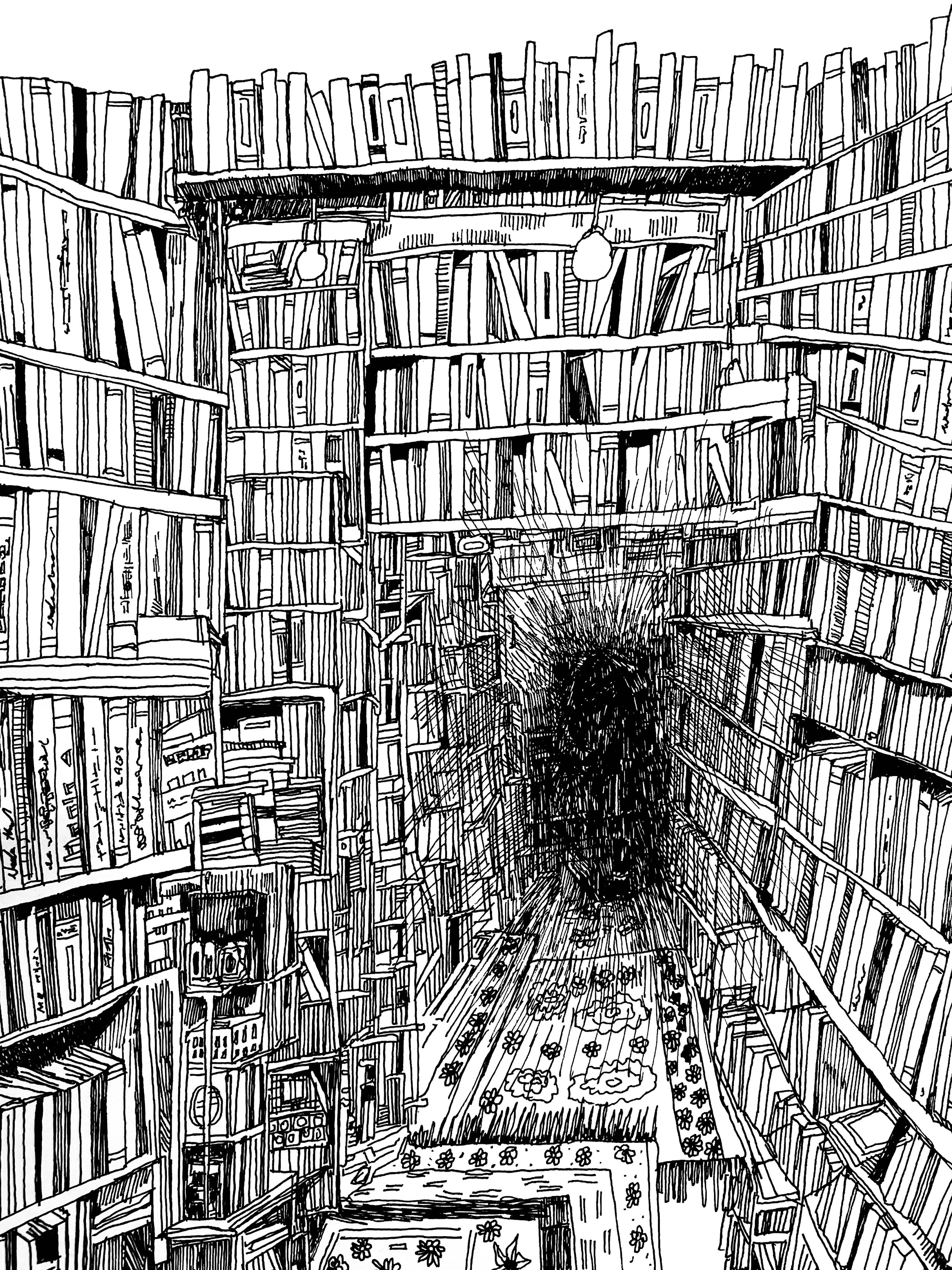 bookstore black hole.jpeg