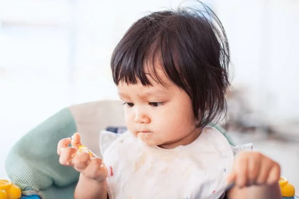 A young child with curly hair sitting in a high chair, holding a piece of food in one hand, looking at it with a focused expression.
