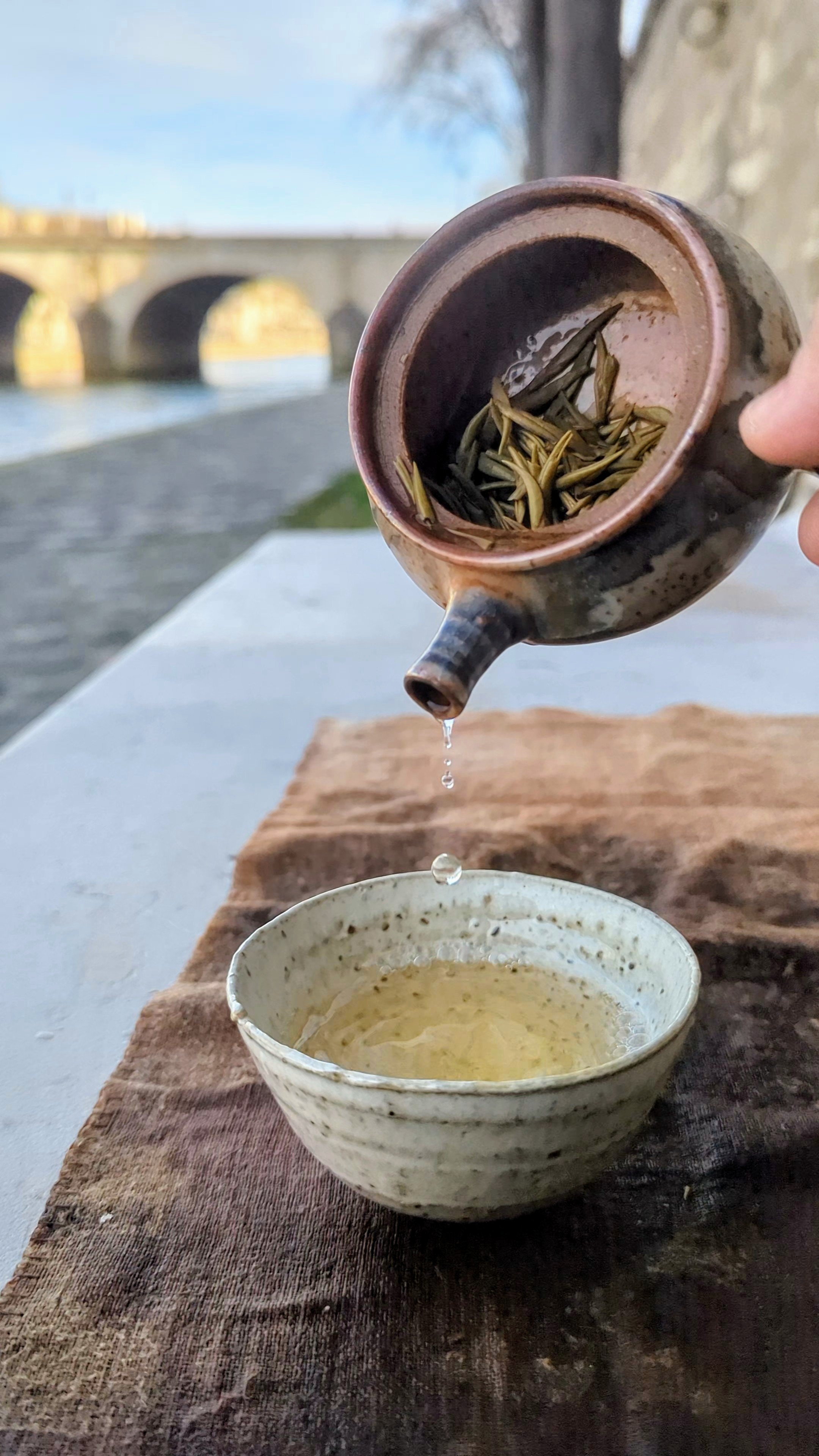 Camellia taliensis: is caffeine-free tea a myth?