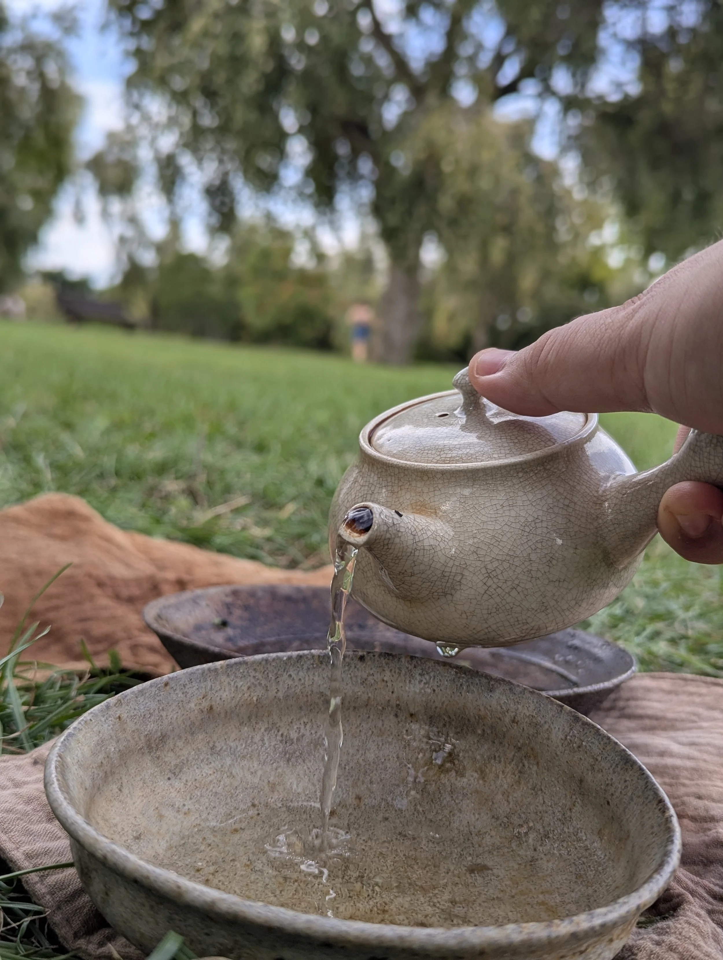 Can children drink tea? What science says