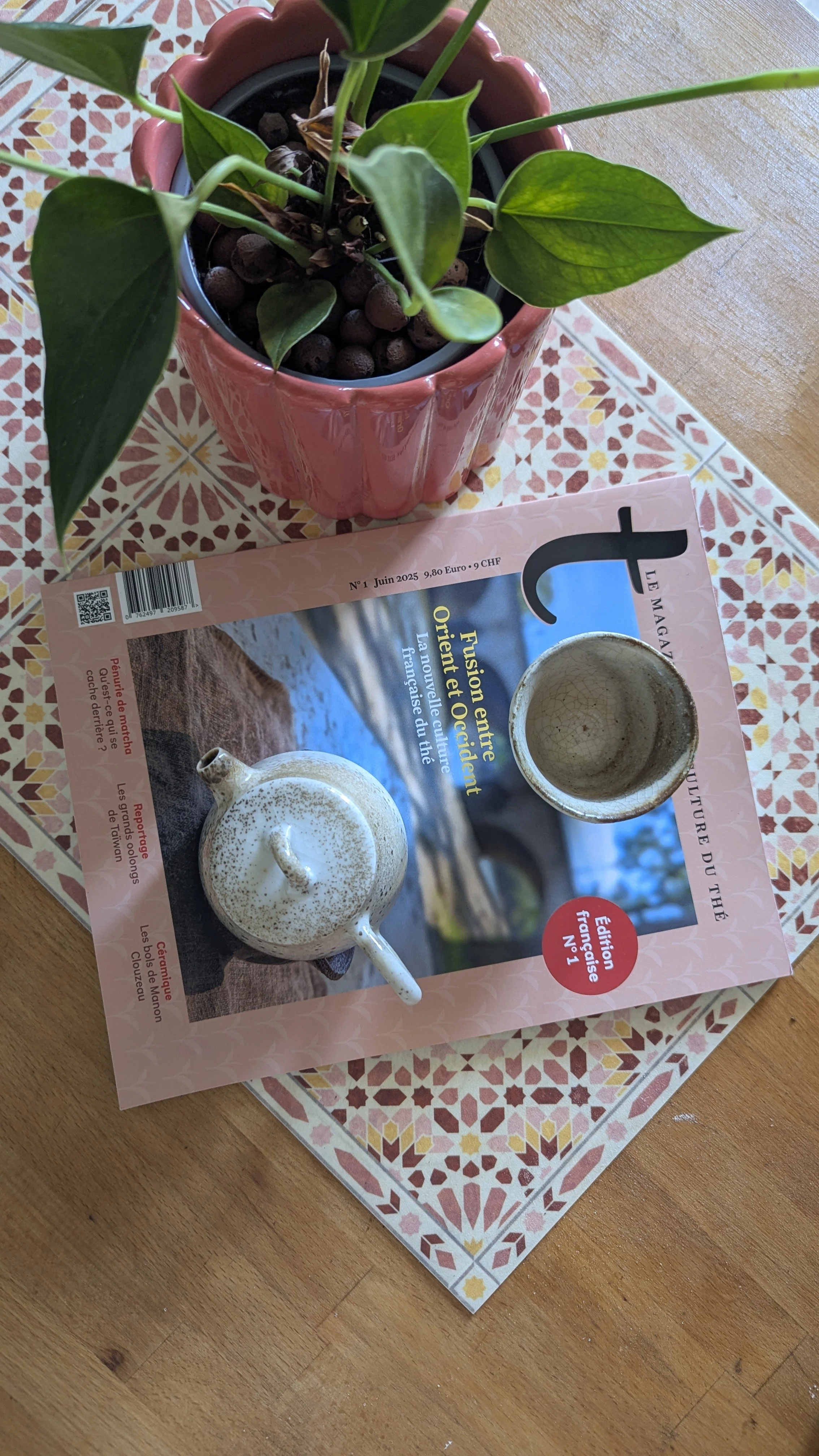 Collaboration éditoriale - T-Magazin n°1 français (Avril - Juin 2025)