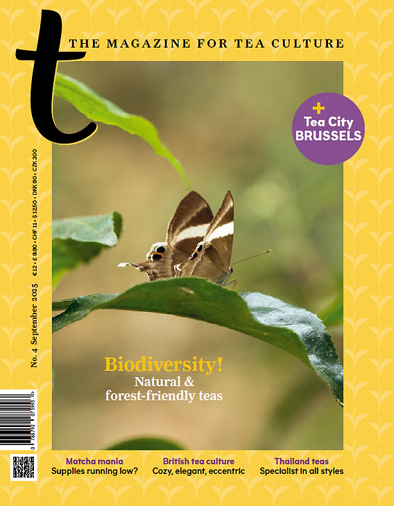 Collaboration éditoriale -  T-Magazin n°4 international (août - septembre 2025)