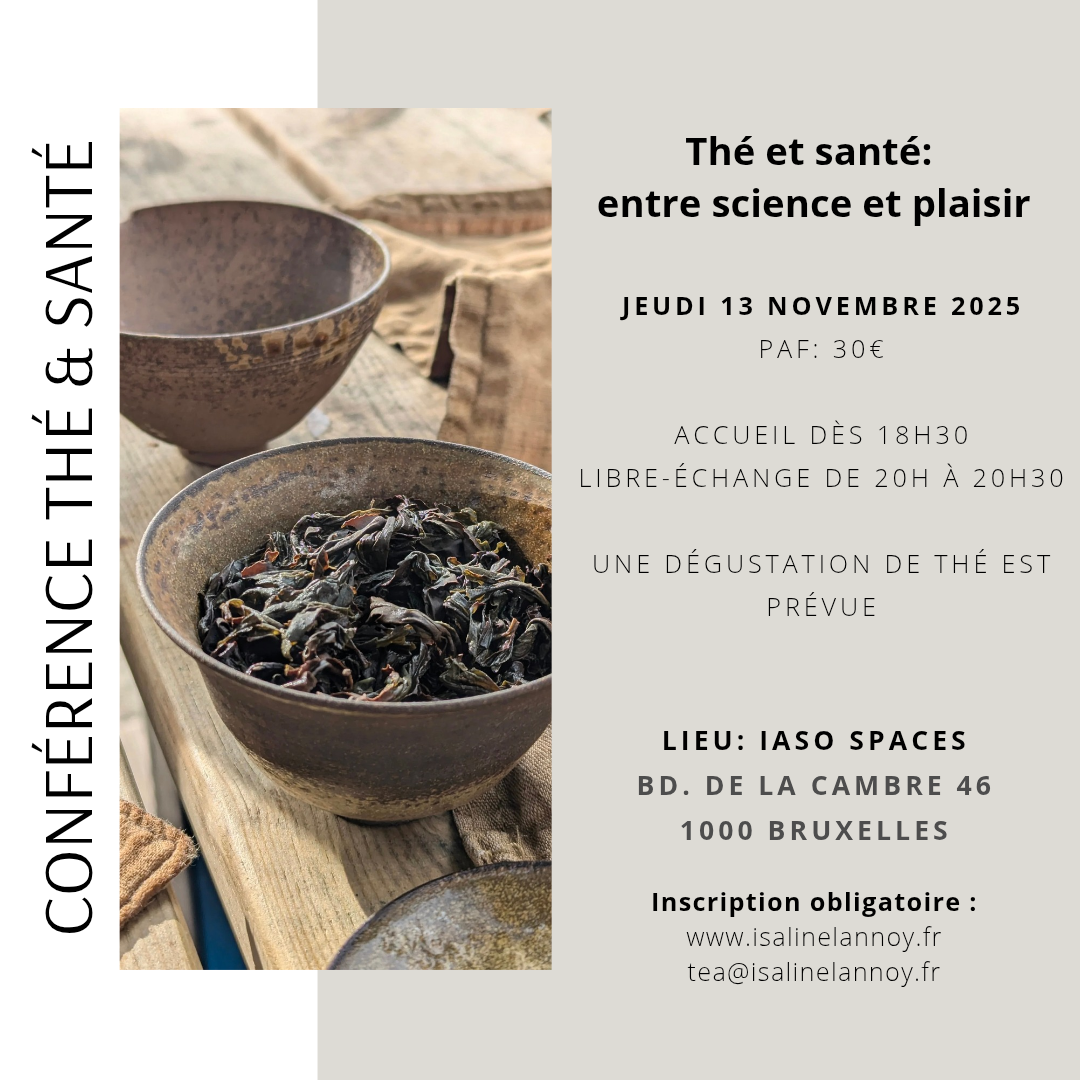 Conception & animation de workshop - Isaline Lannoy (novembre 2025)