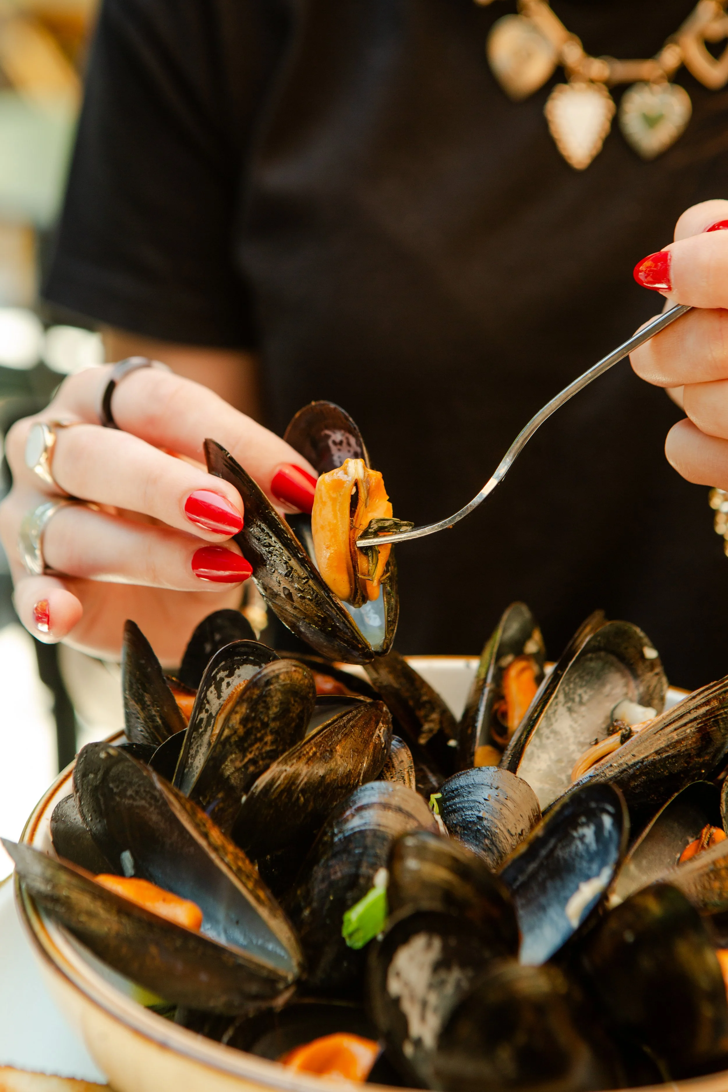 Blackbird Nest-July 2025-25.jpg