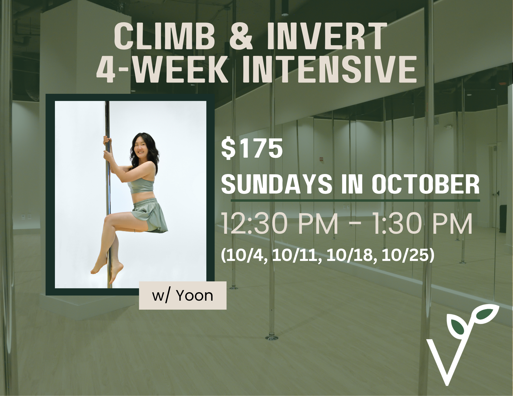 4 Week Climb & Invert Pole Intensive