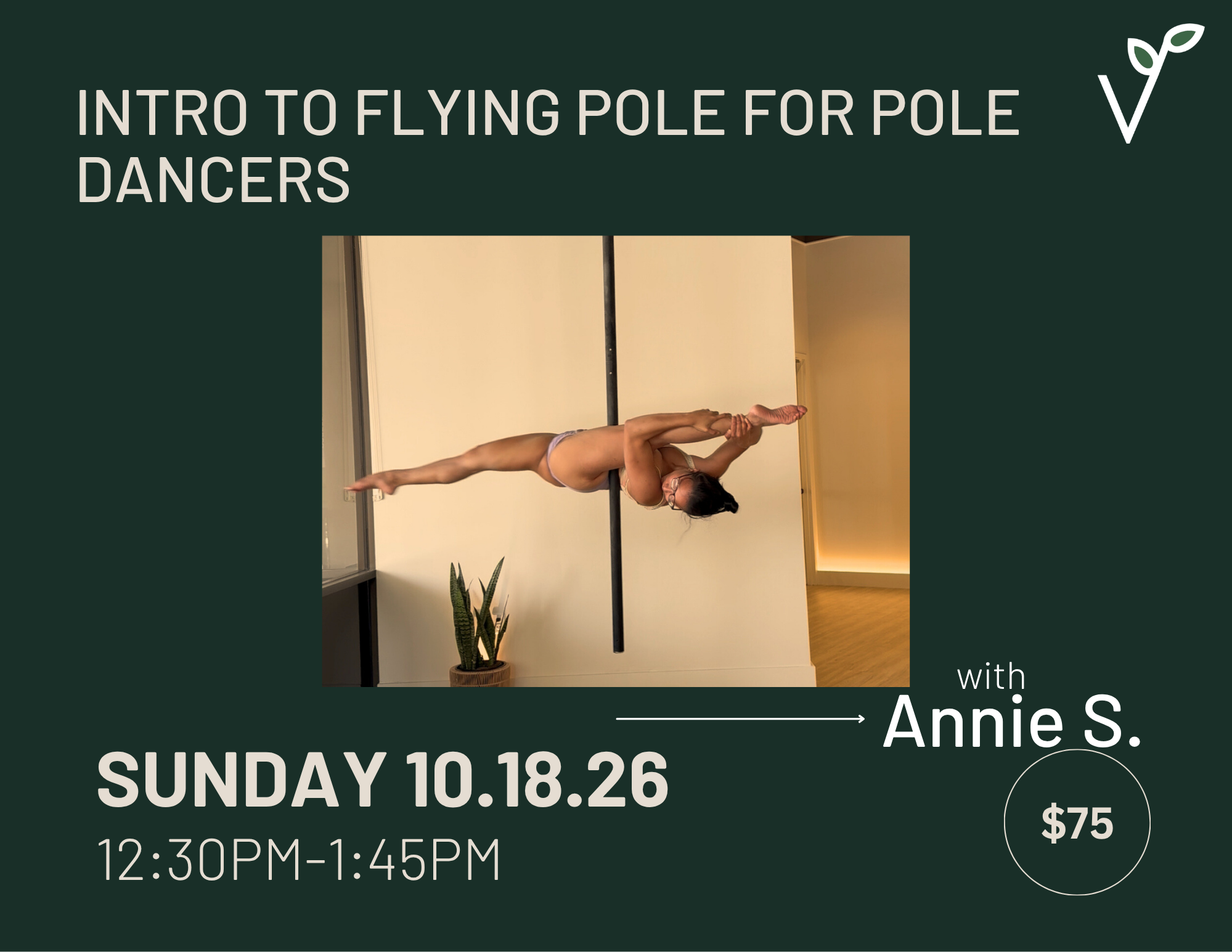 Intro to Flying Pole for Pole Dancers