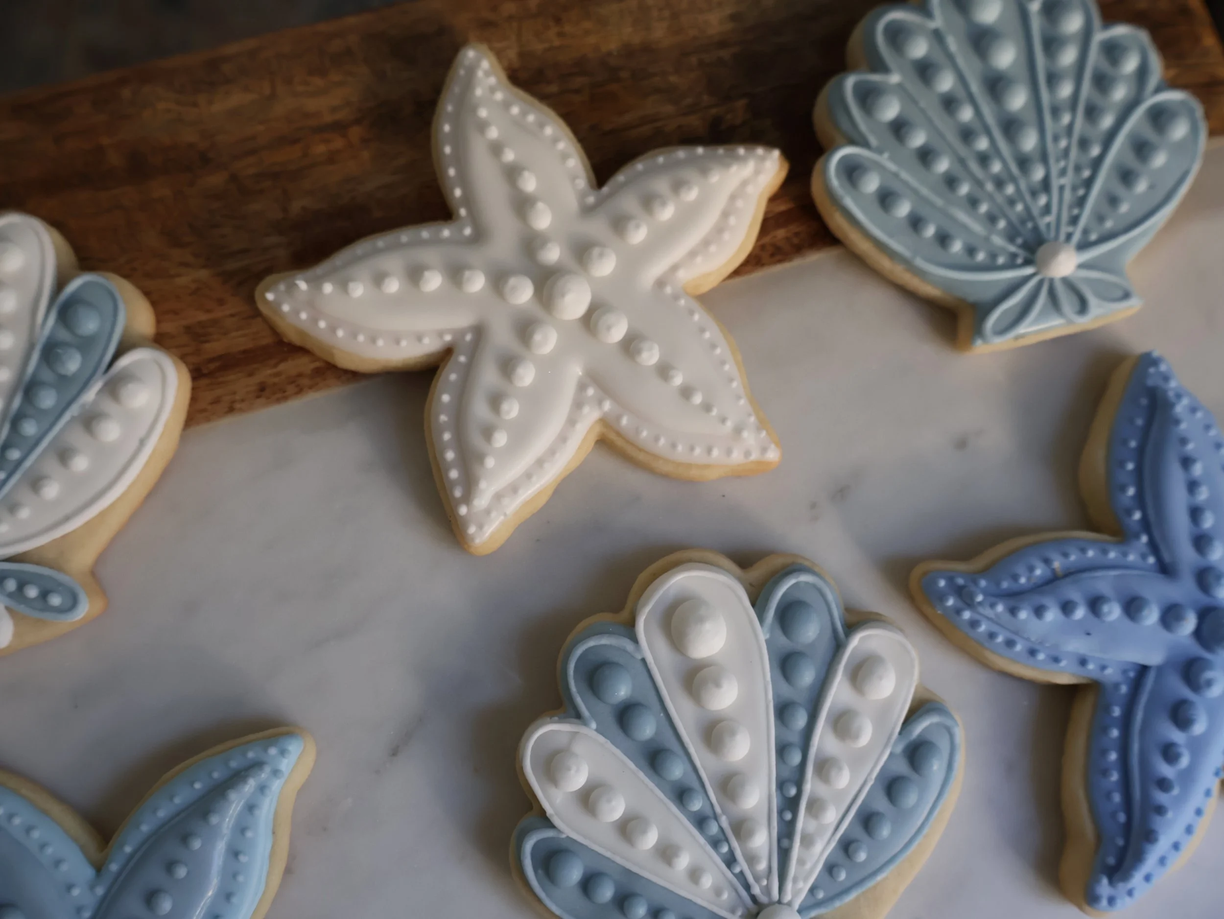 Cookies decorated as starfish and seashells with white and blue icing.