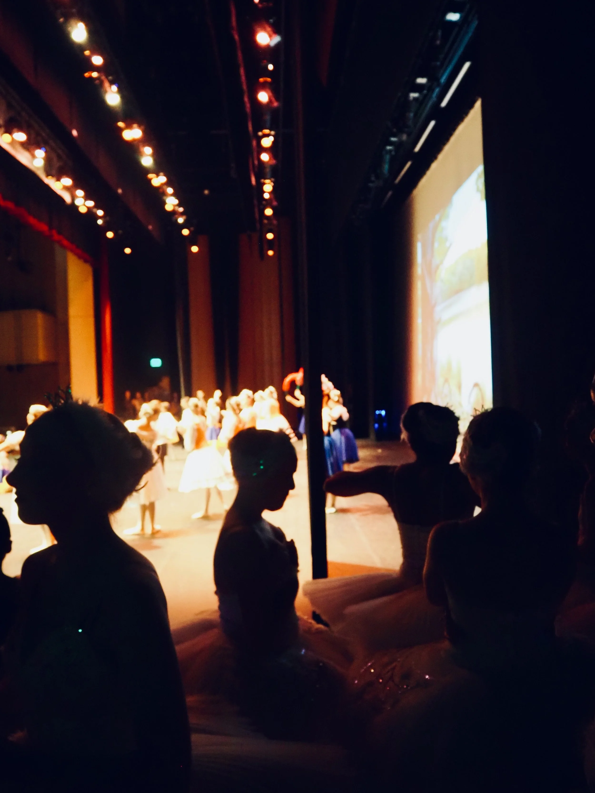 People behind a curtain at this theater preparing for a performance, with a view of the stage and audience area.