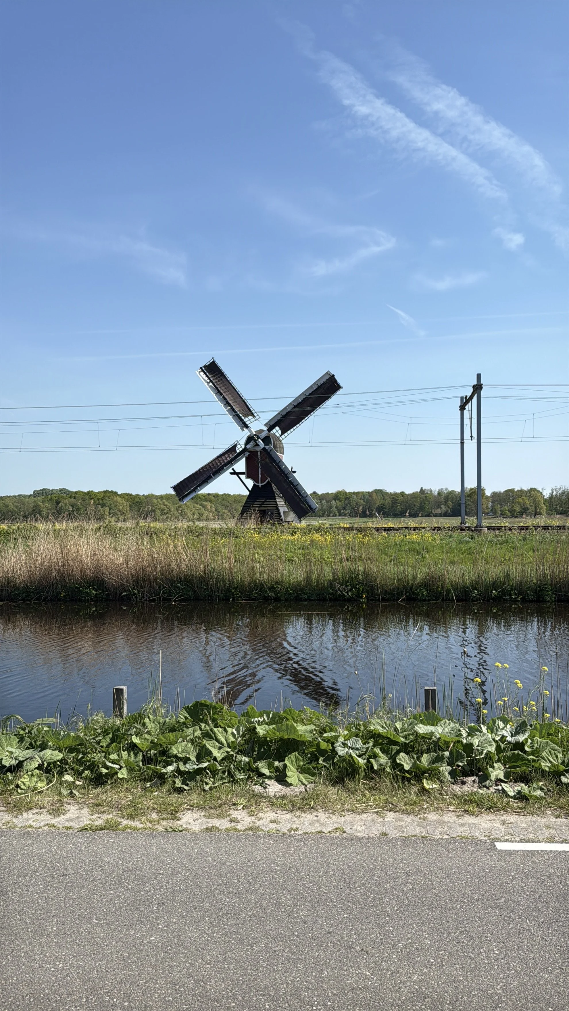 IMG_0303.jpeg