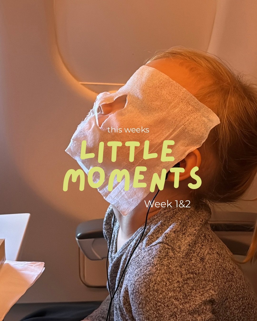 Weekly camera roll of unedited, real life photos 🖤Week 1&amp;2
-flight to Michigan 
-went to @bavarian_blast for Tracen&rsquo;s birthday
-Jade living her best life back in the Netherlands with our friend watching her🫶🏼
-Detroit zoo lights in a cra