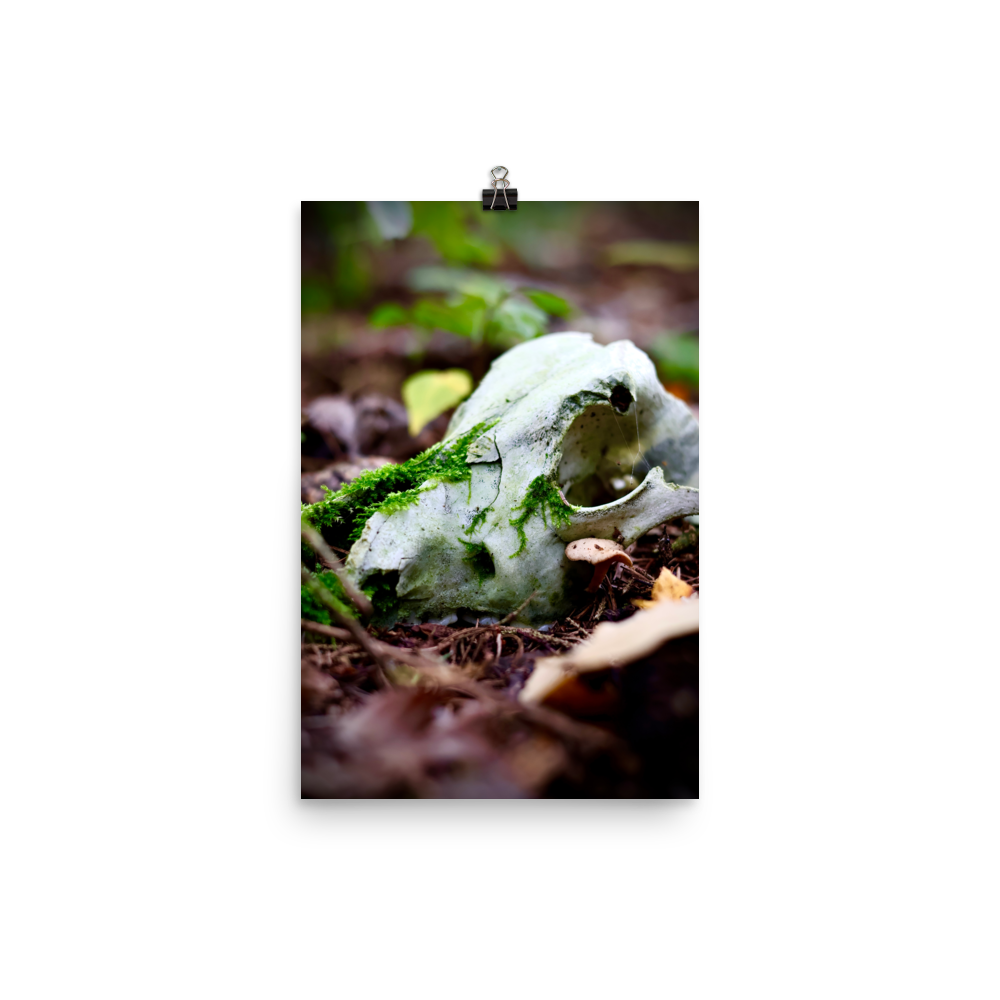 enhanced-matte-paper-poster-(in)-12x18-transparent-6752fecb668a6.png