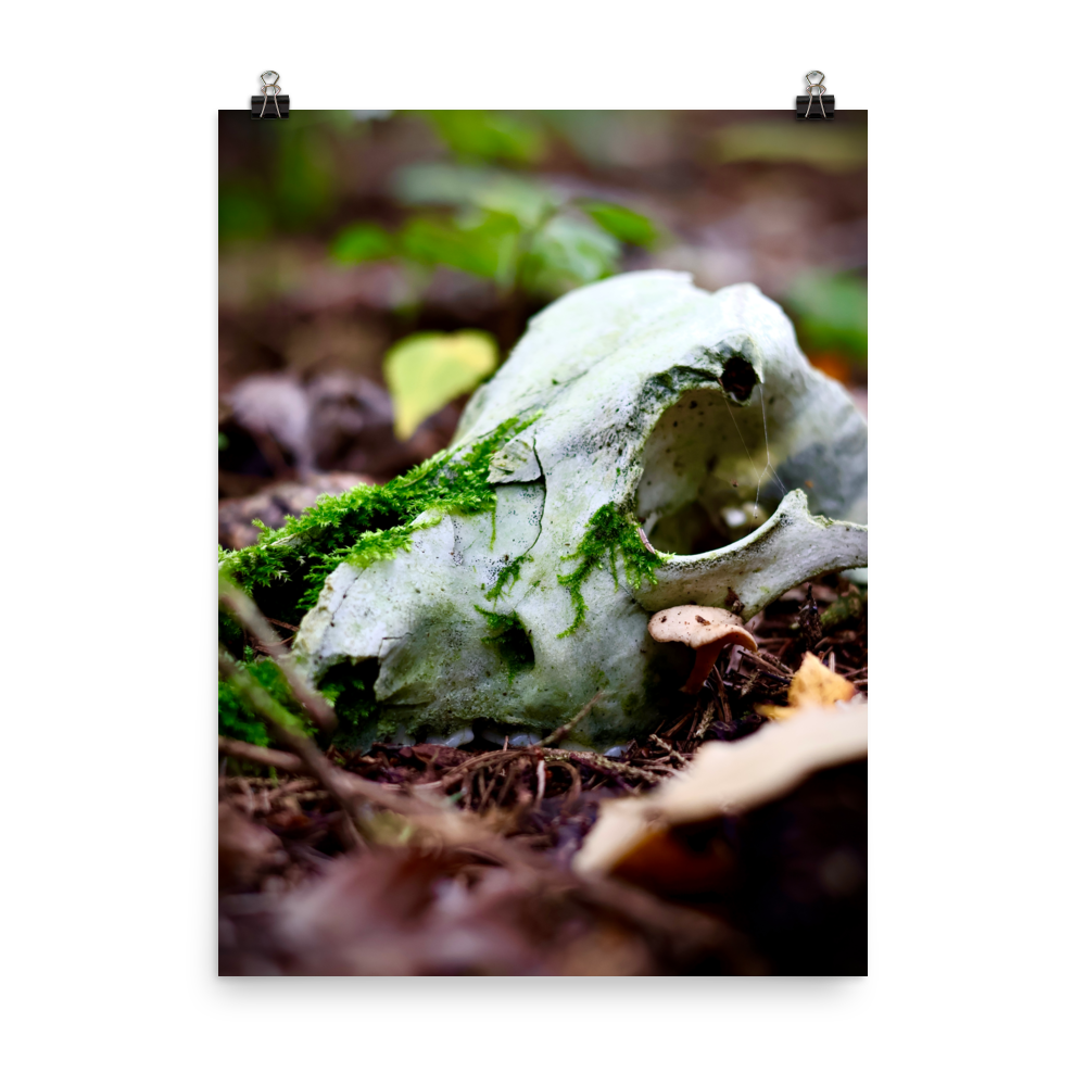 enhanced-matte-paper-poster-(in)-18x24-transparent-6752fecb67279.png