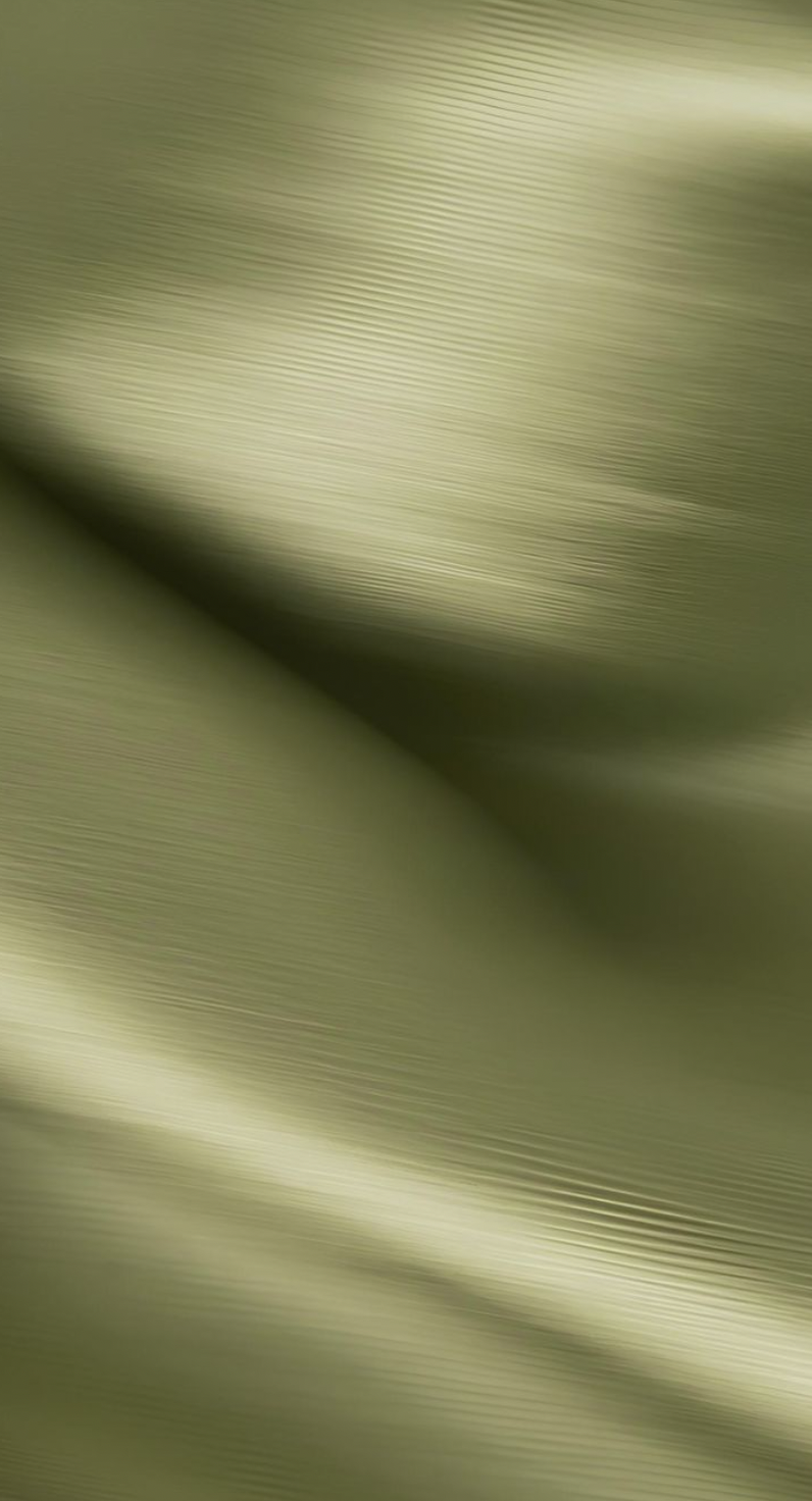 The High-Achiever's Paradox: When External Success Feels Empty