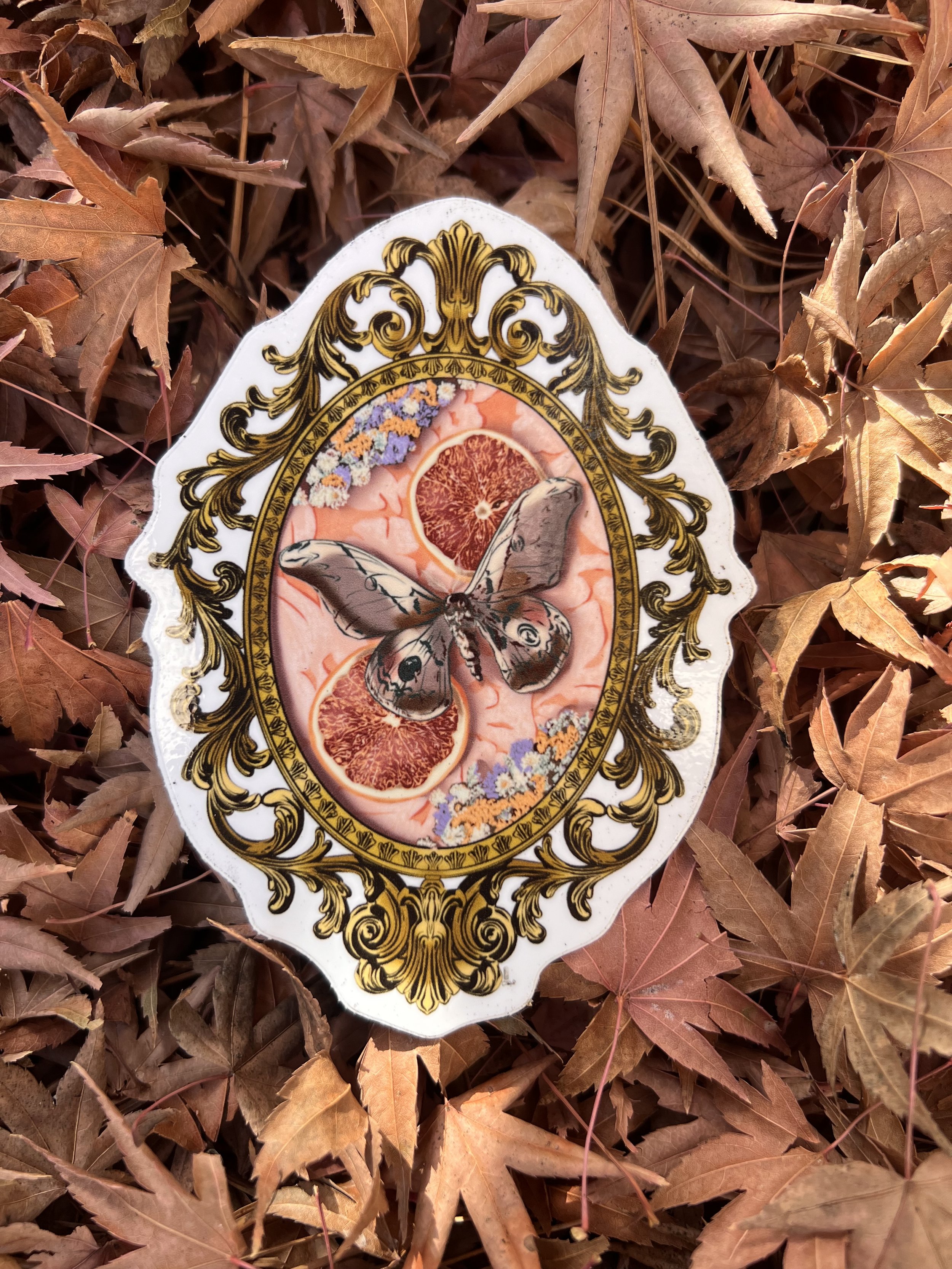 Moth Frame Sticker