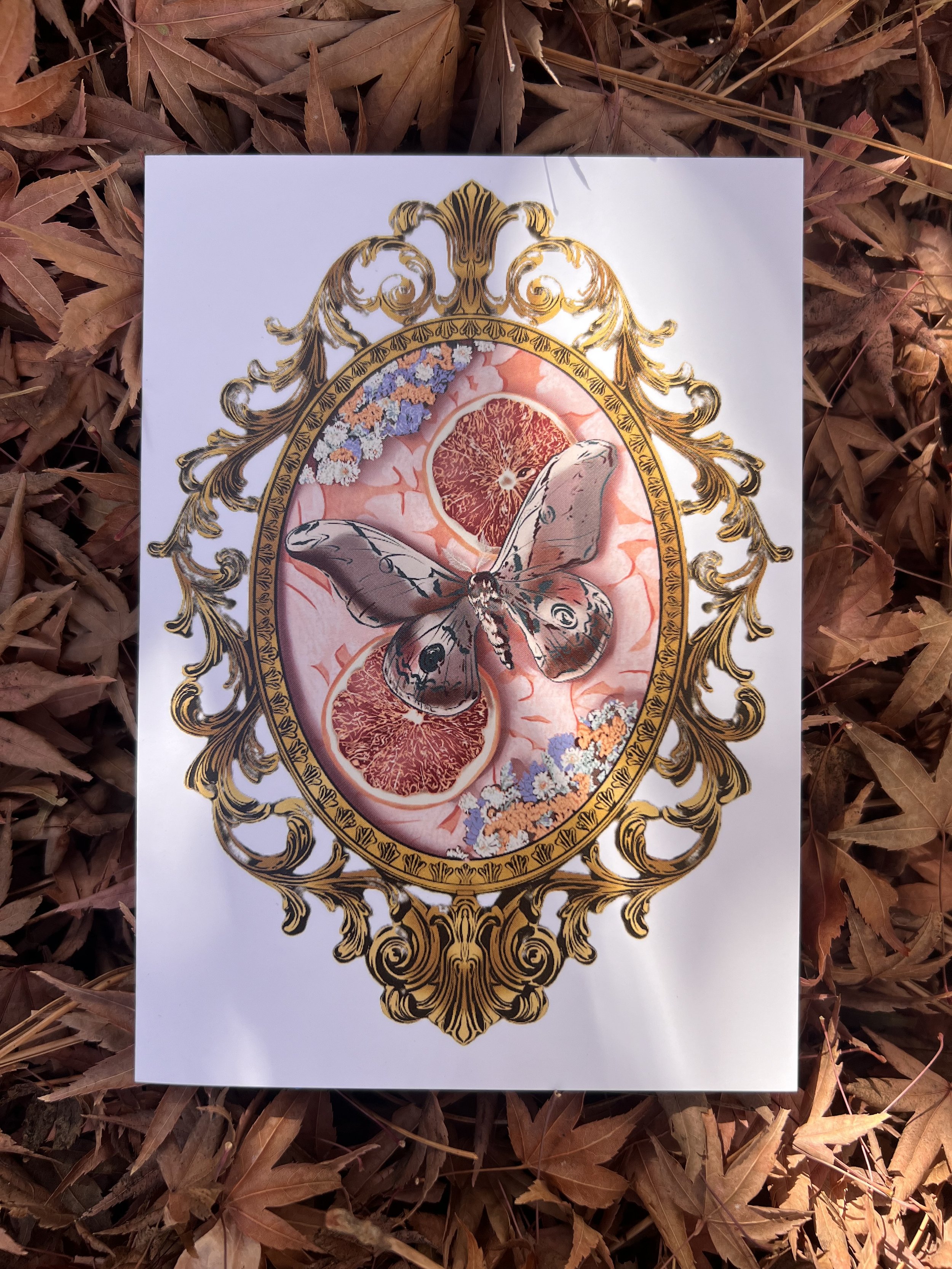 Moth Frame Greeting Card
