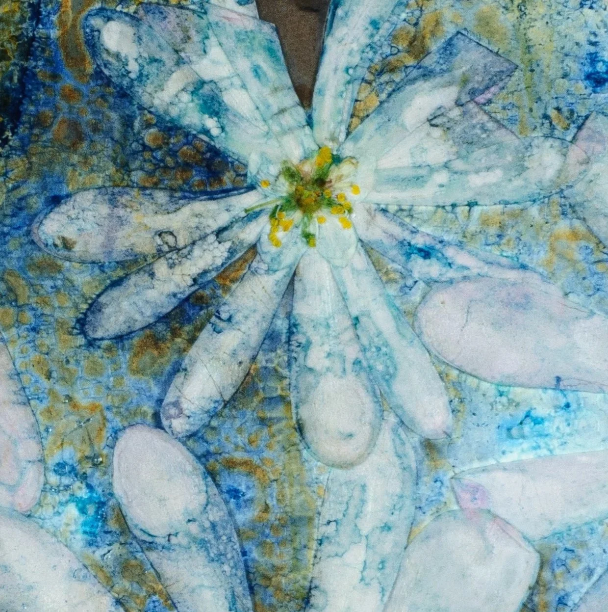 Astral+Magnolia.jpg