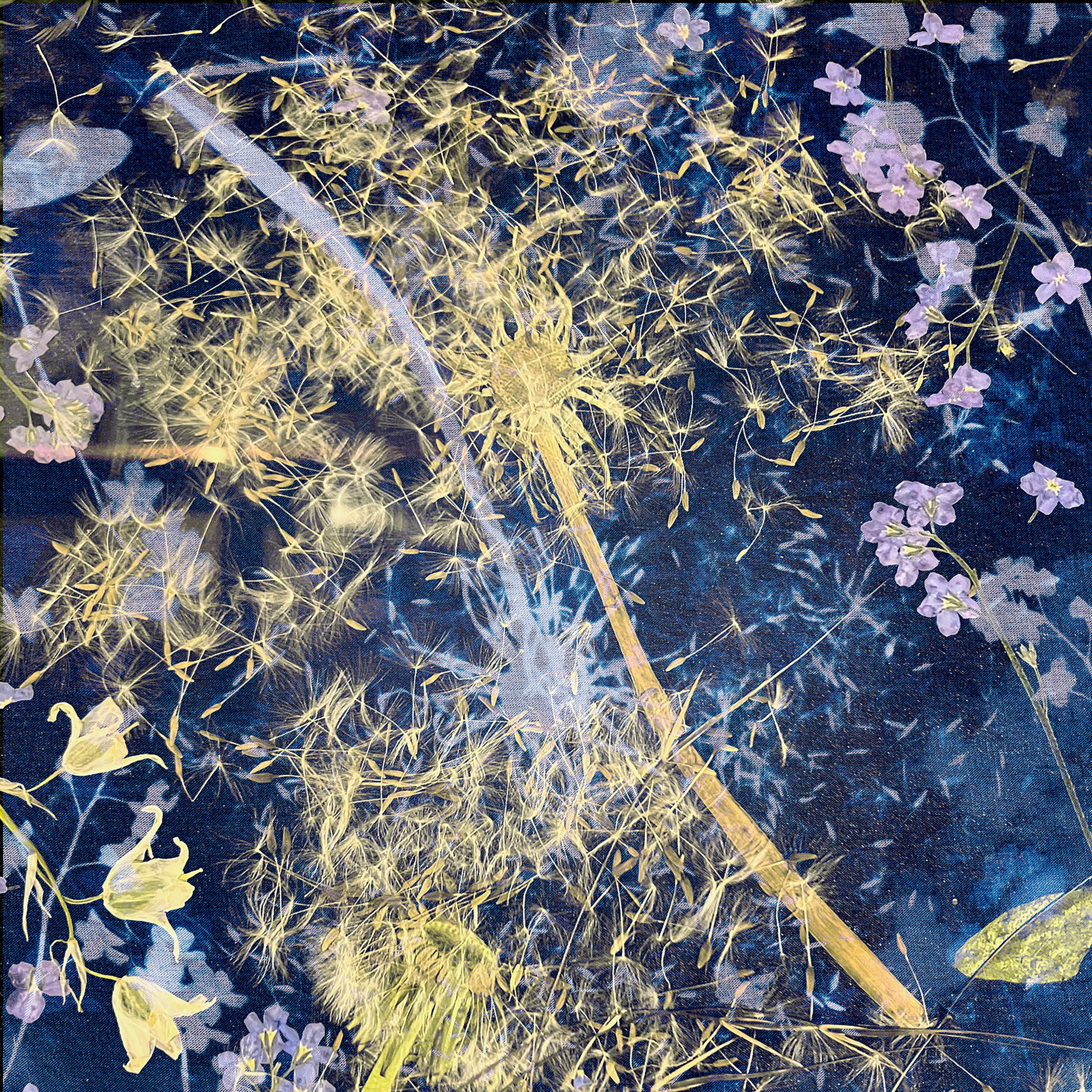 Dandelion_ForgetMeNot greeting card design.jpg