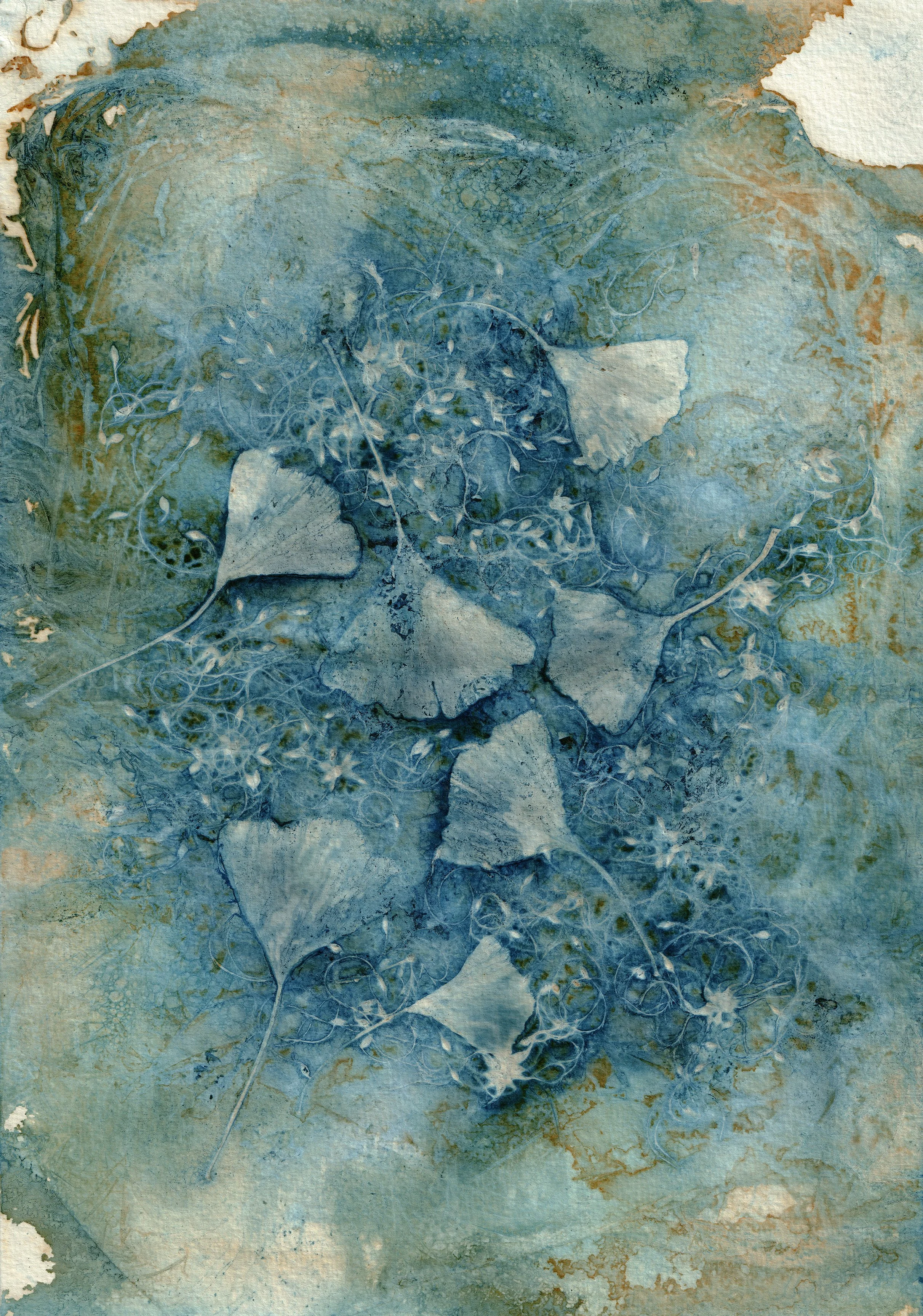 As Borbeletas II.jpg