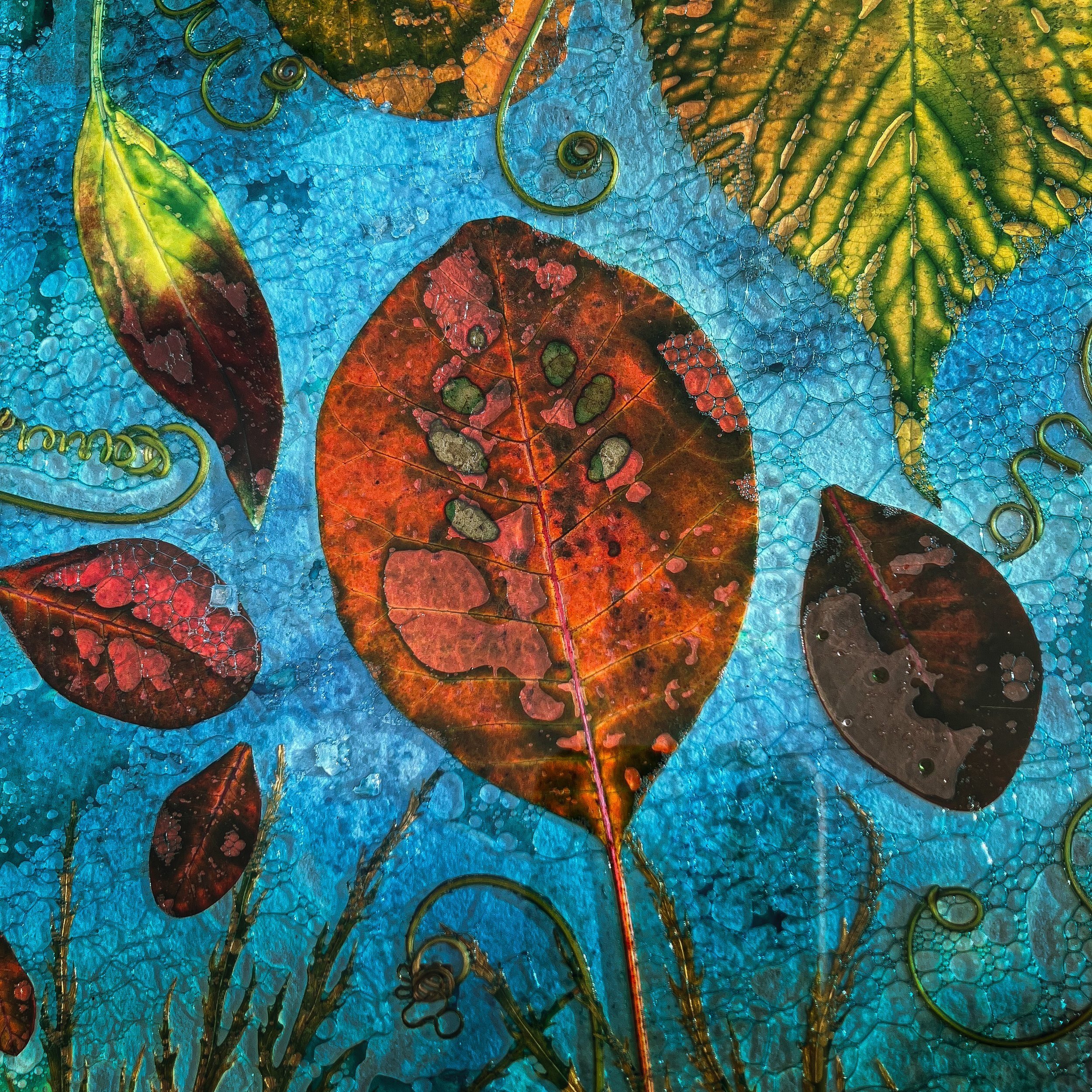Leaf+Study.jpg