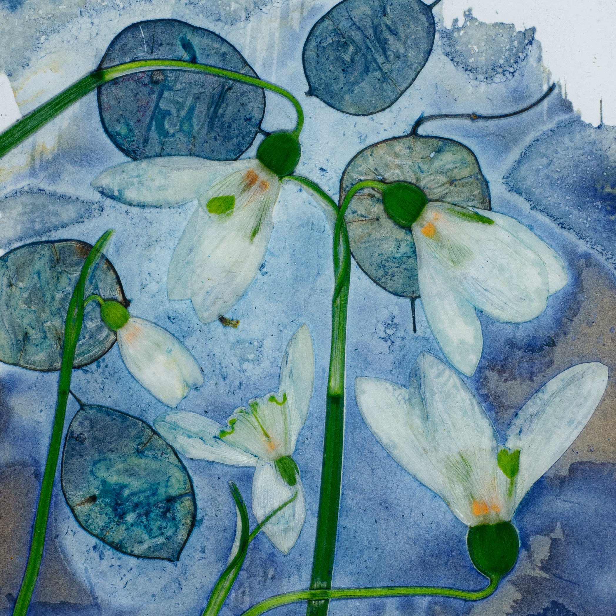 Snowdrops.jpg