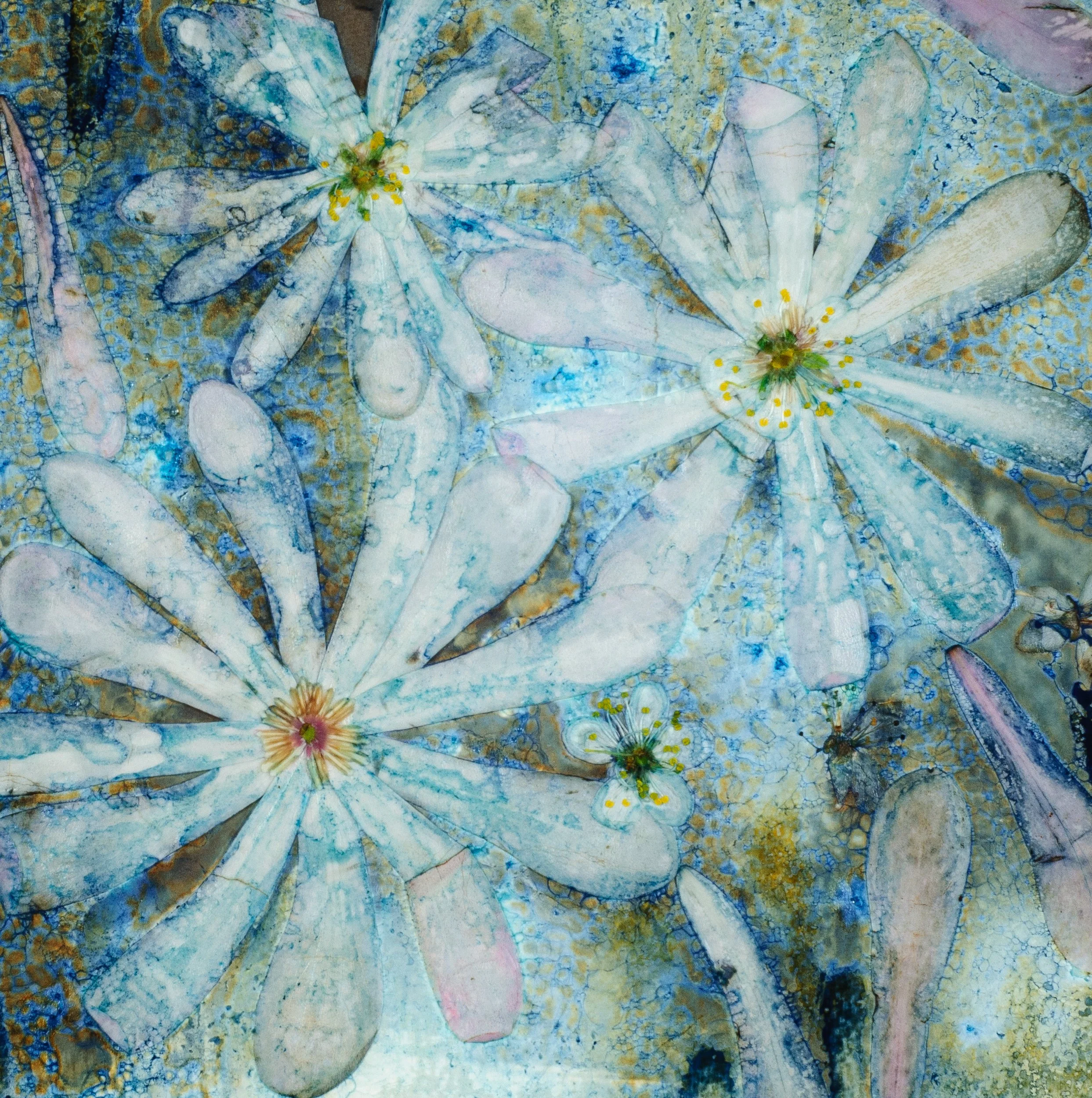 Astral Magnolia.jpg