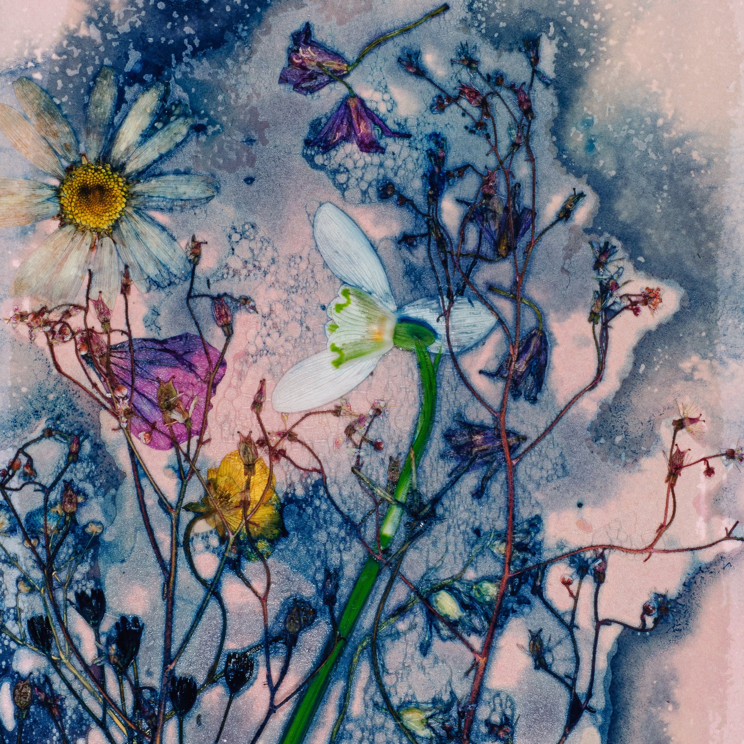 Fairytale Blossoms.jpg