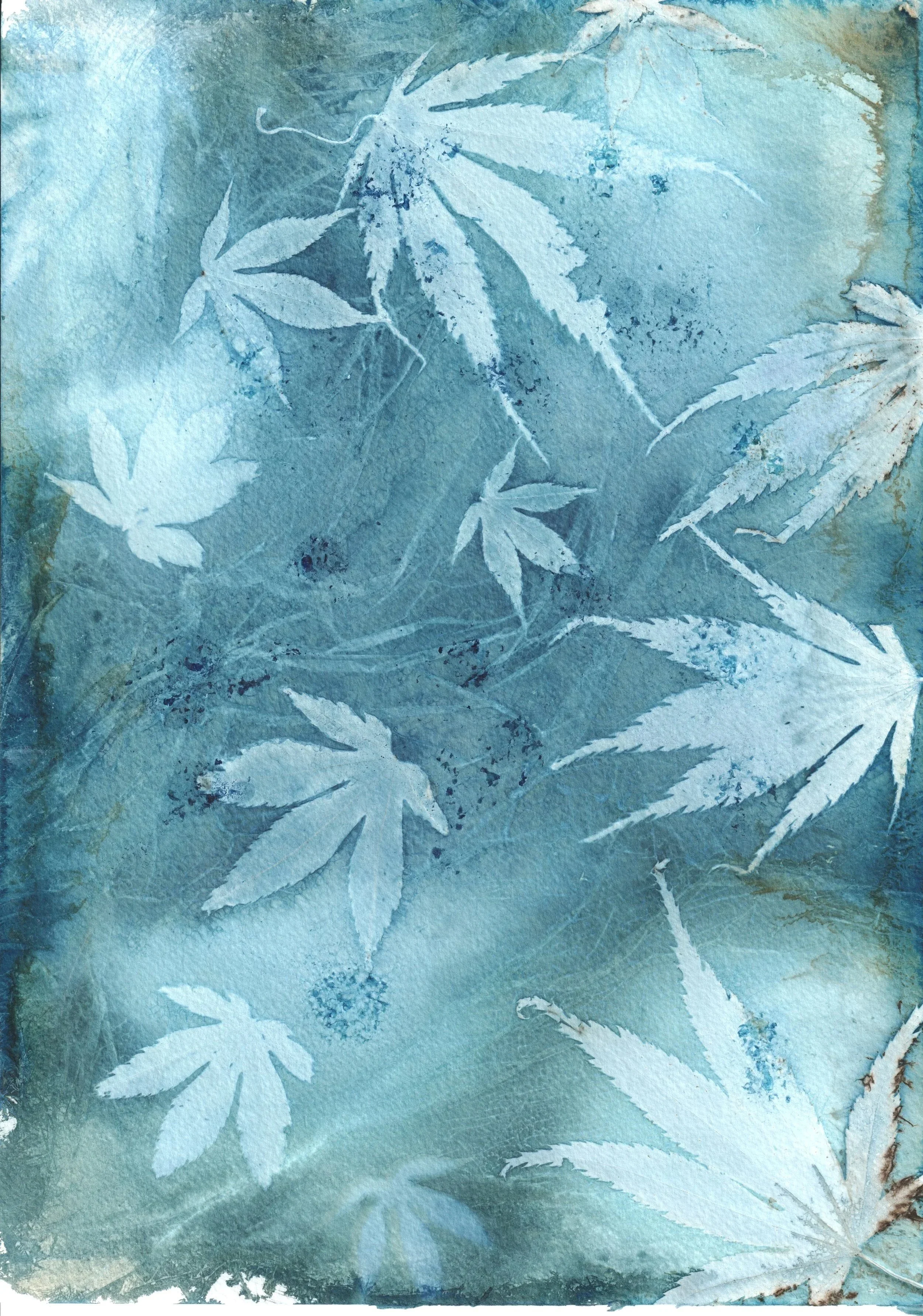 Arboreal%2BBallet-1.jpg