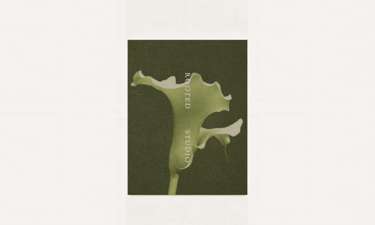 A poster with a stylized green and white illustration of a flower, with the words "ROOTED STUDIOS" printed vertically.