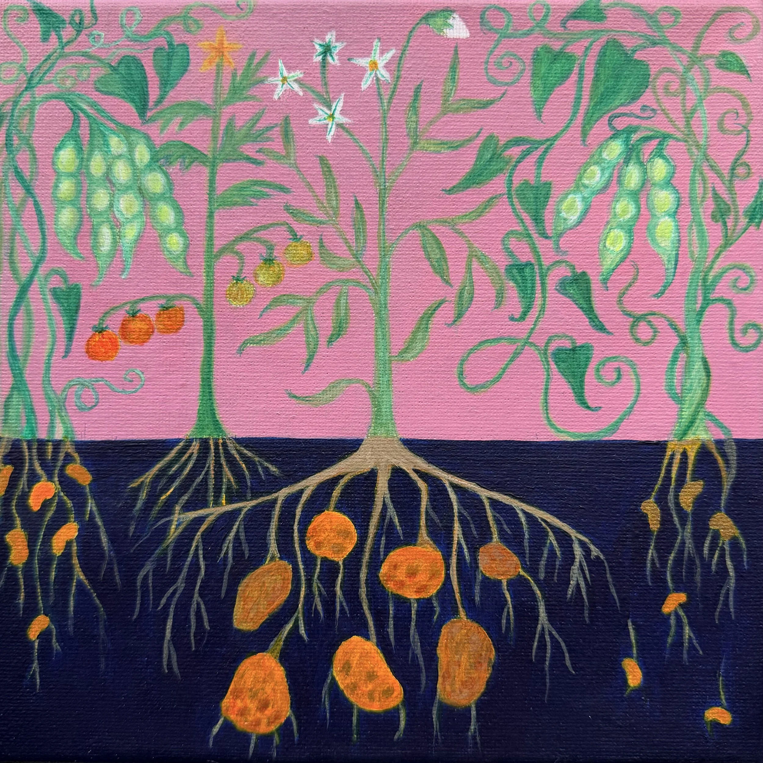 Philippa Ashcroft Venue 52+