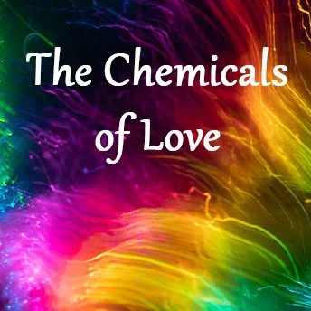 The Chemicals of Love